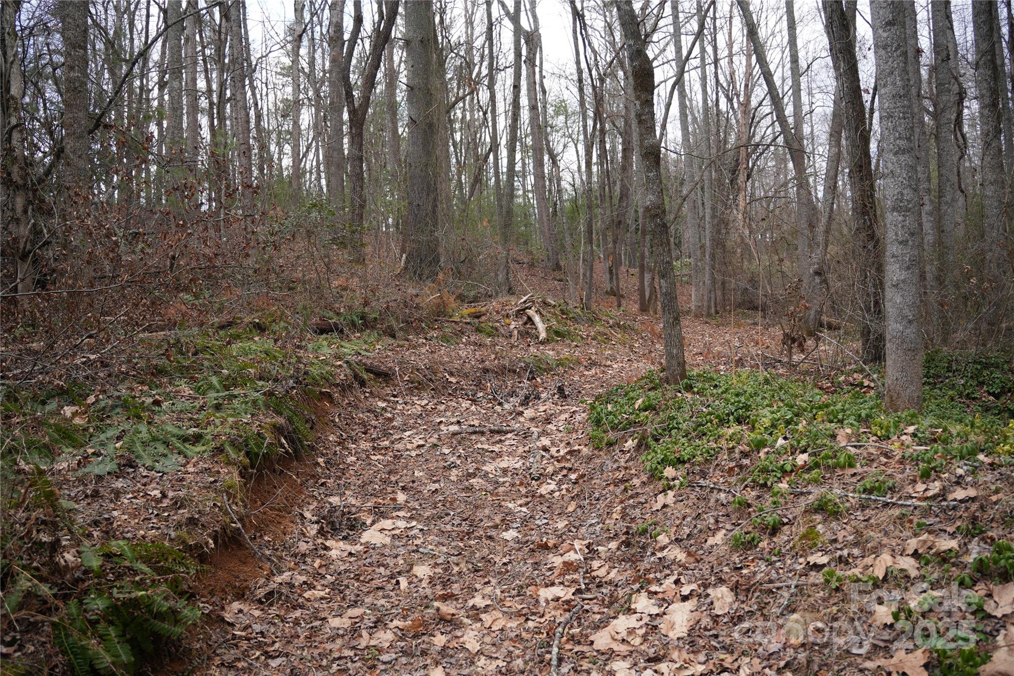 741 Glenn Bridge Road Arden NC 28704