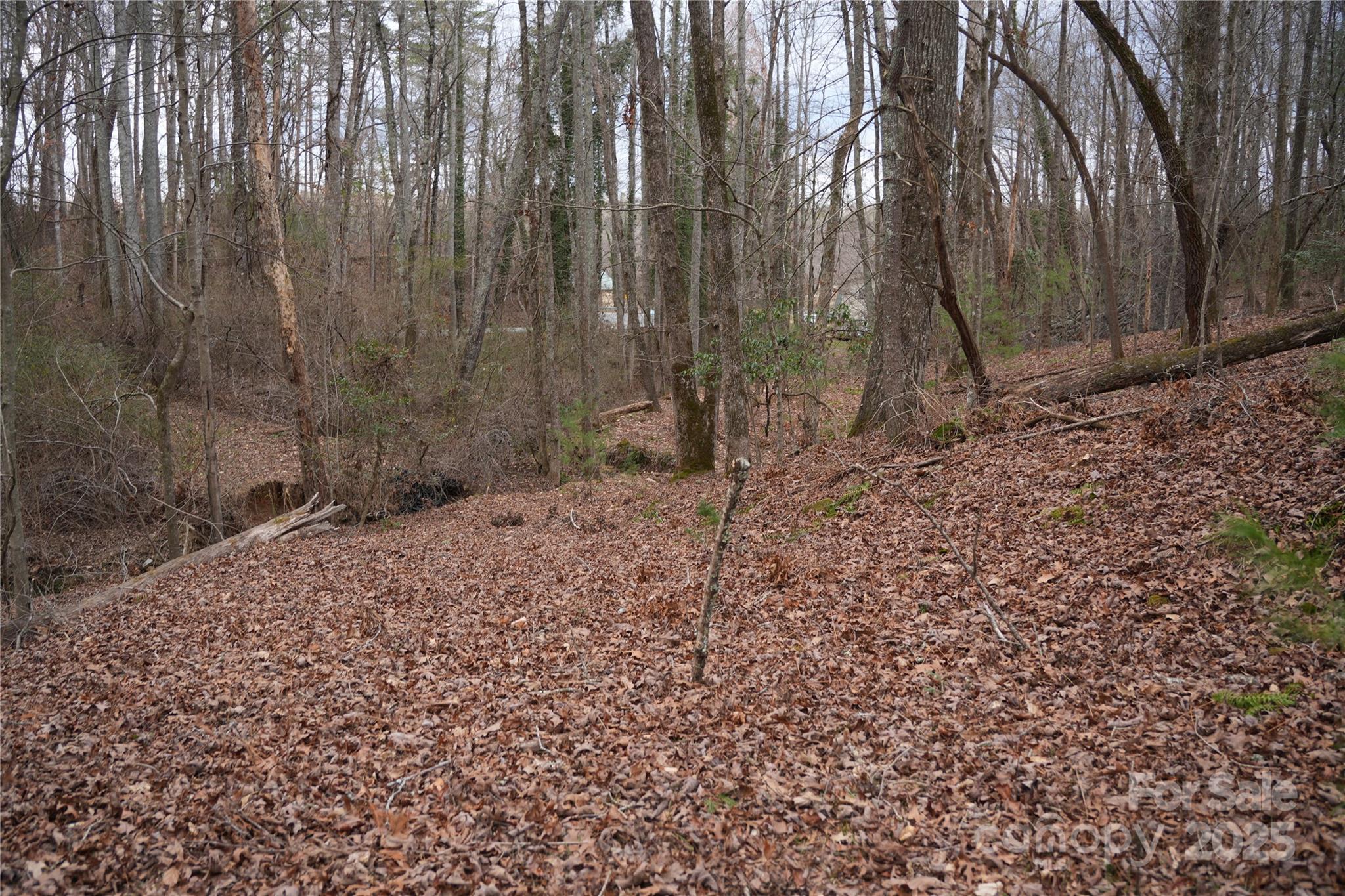 741 Glenn Bridge Road Arden NC 28704