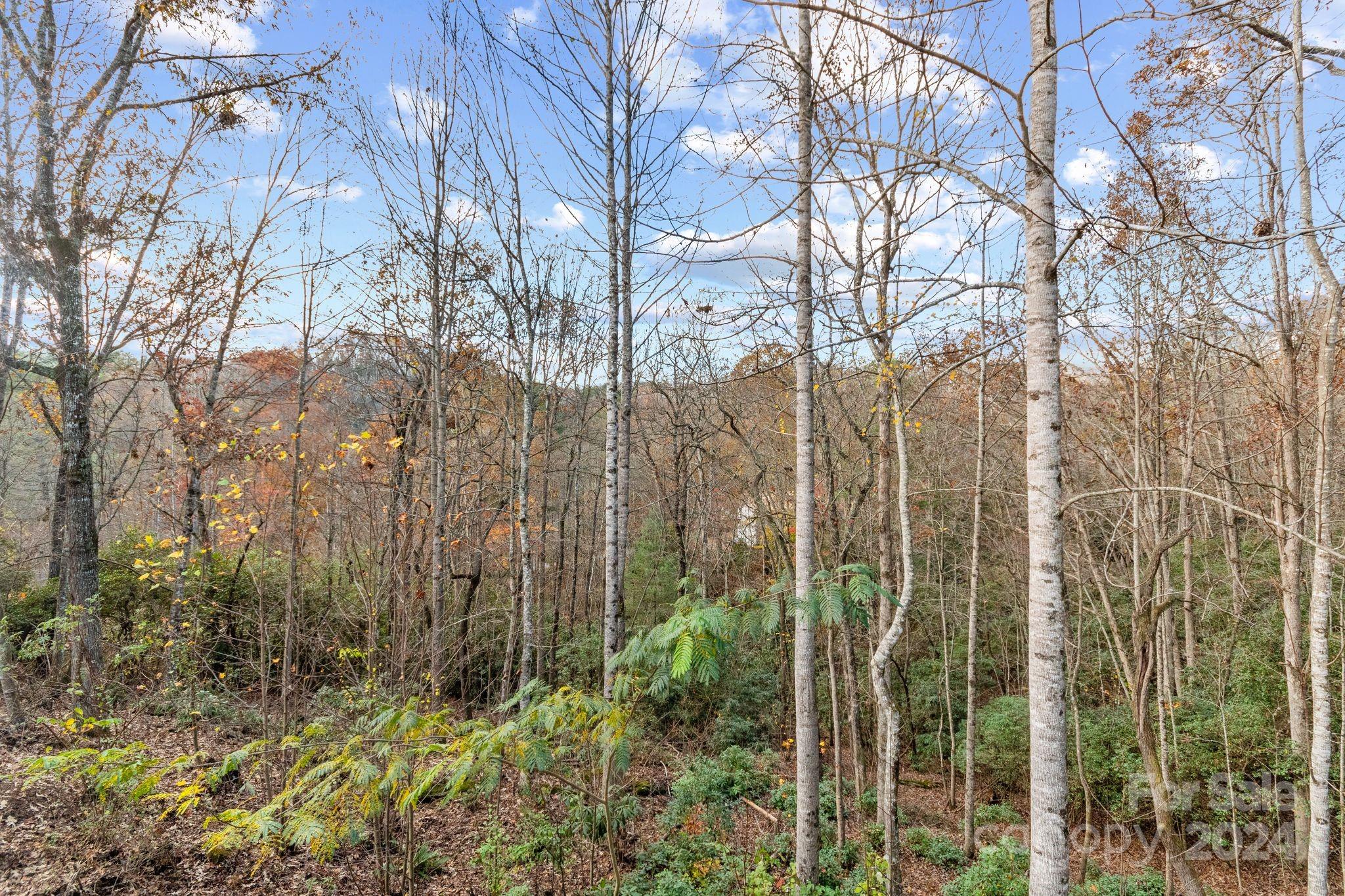 6 Laurel Forest Drive Horse Shoe NC 28742