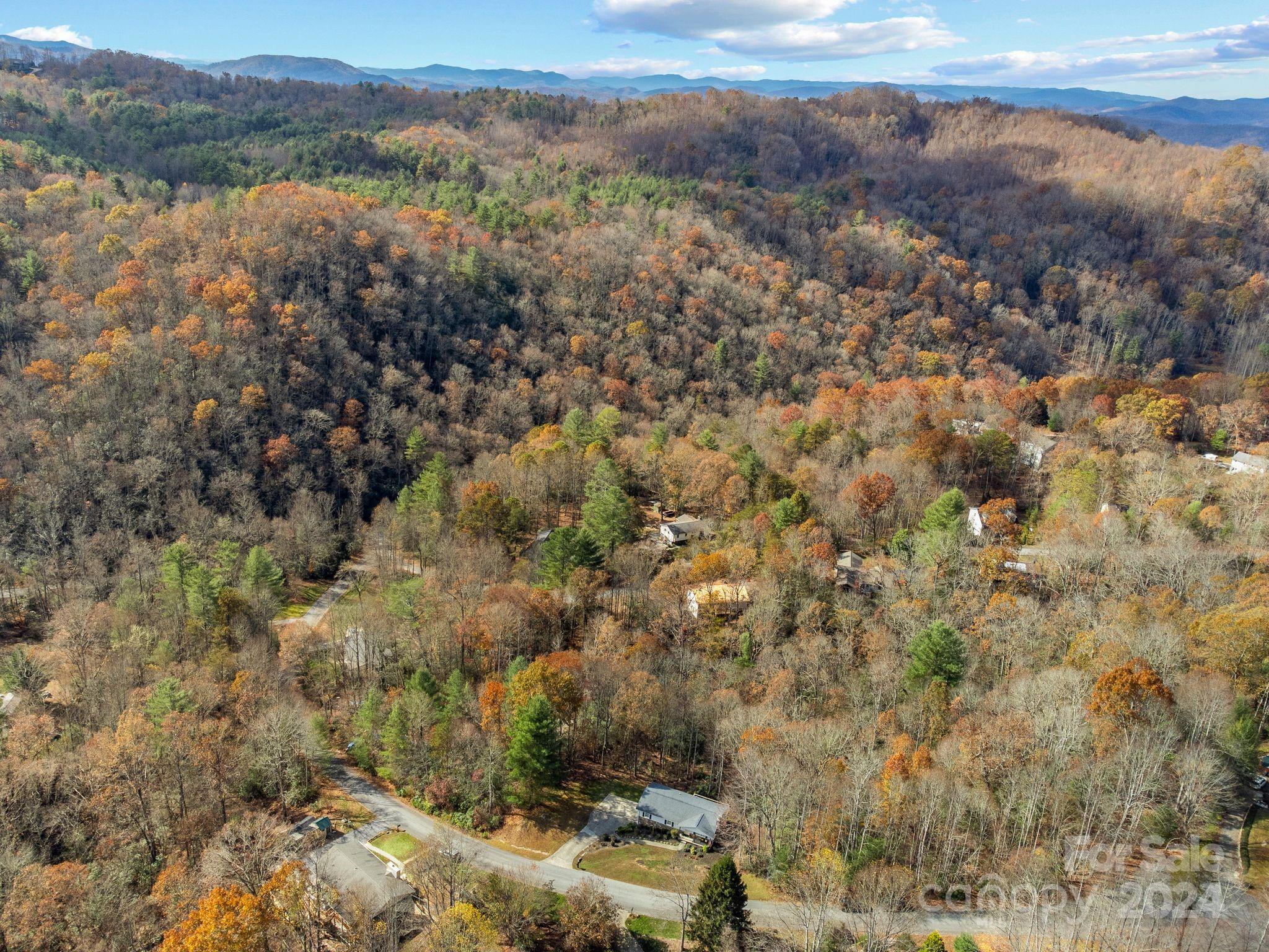 6 Laurel Forest Drive Horse Shoe NC 28742