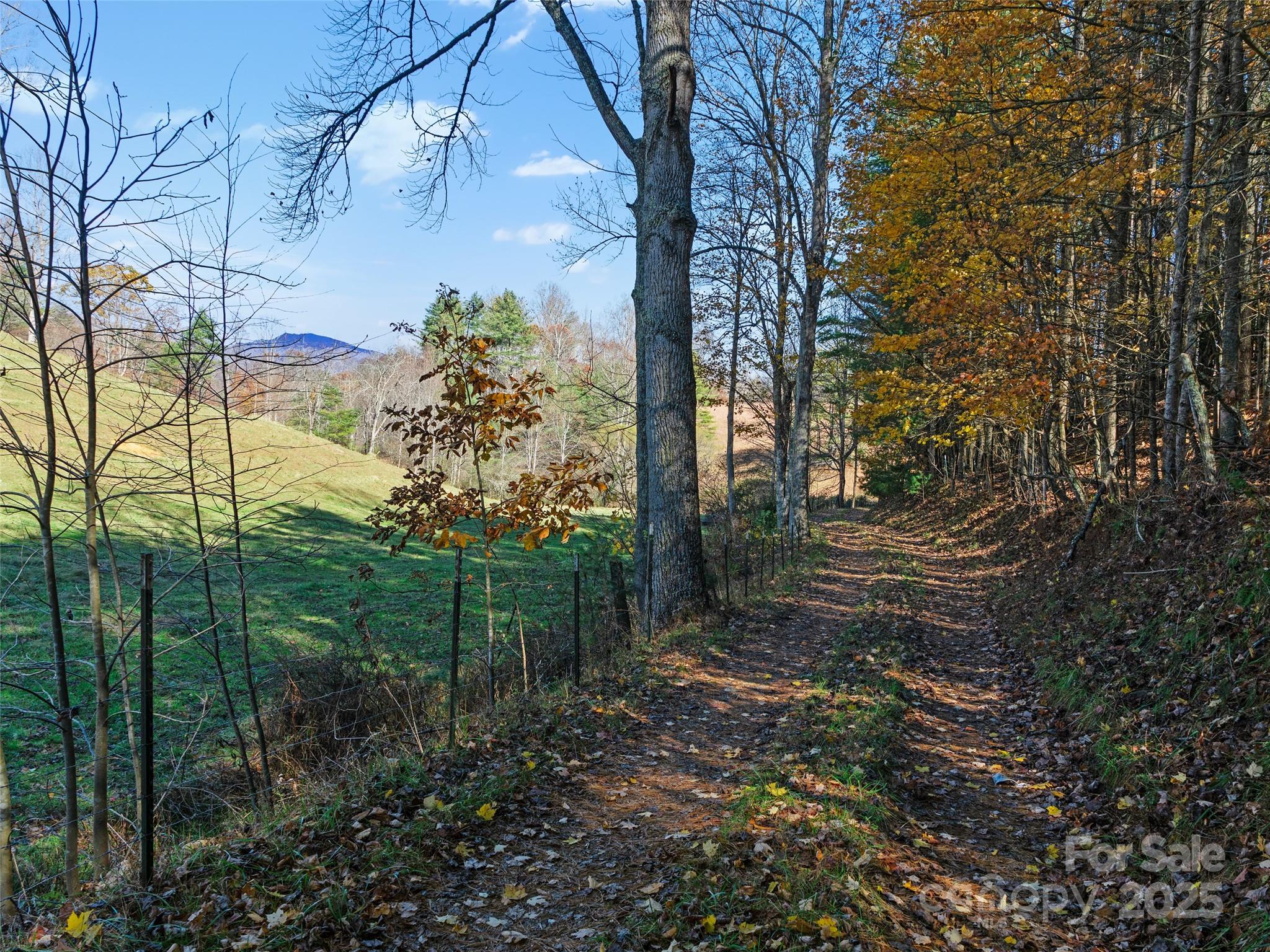 321 Lyle Lane Green Mountain NC 28740