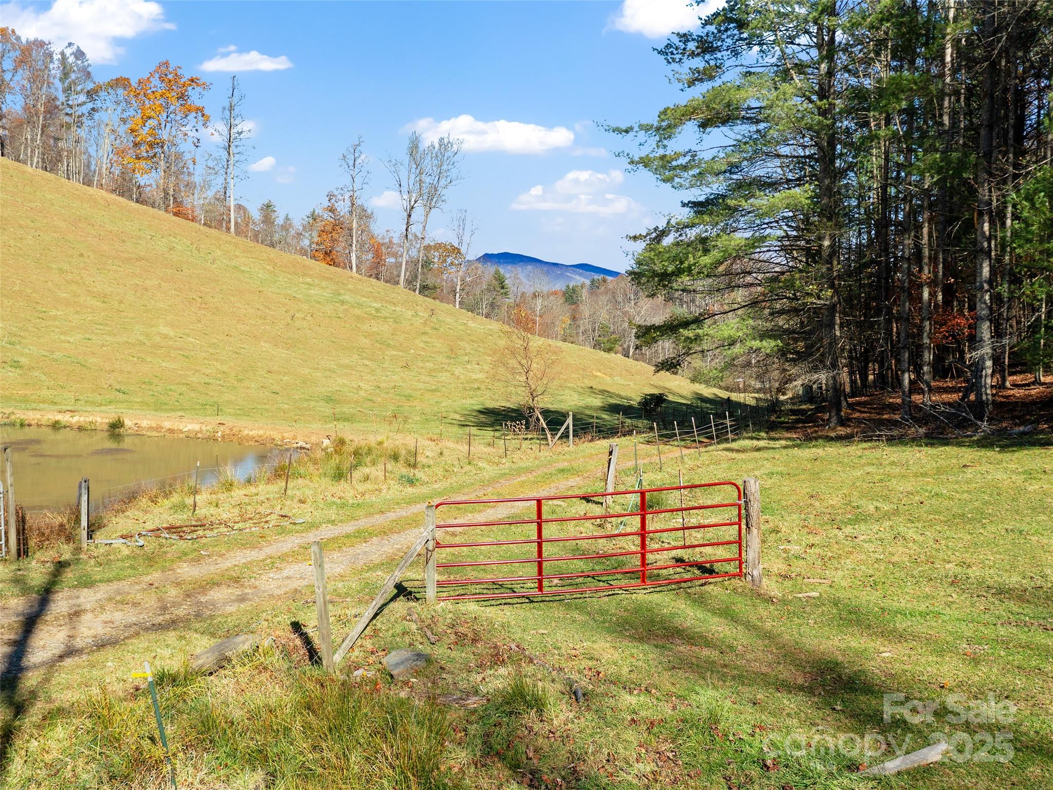 321 Lyle Lane Green Mountain NC 28740