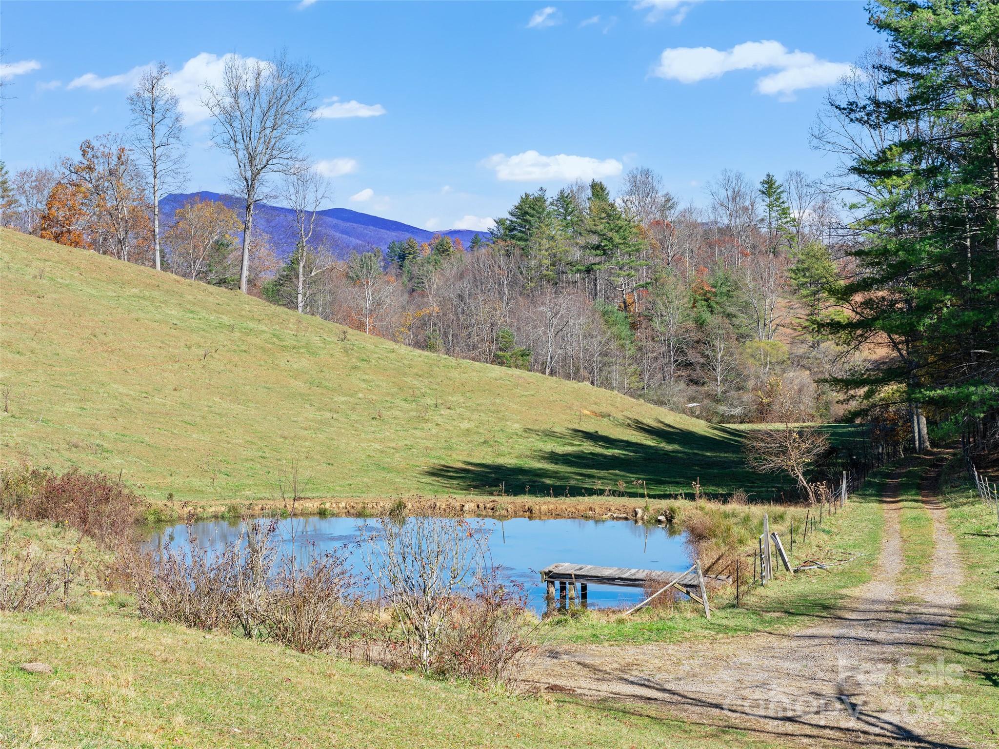 321 Lyle Lane Green Mountain NC 28740