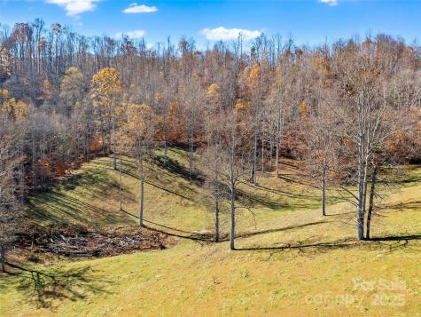 321 Lyle Lane Green Mountain NC 28740