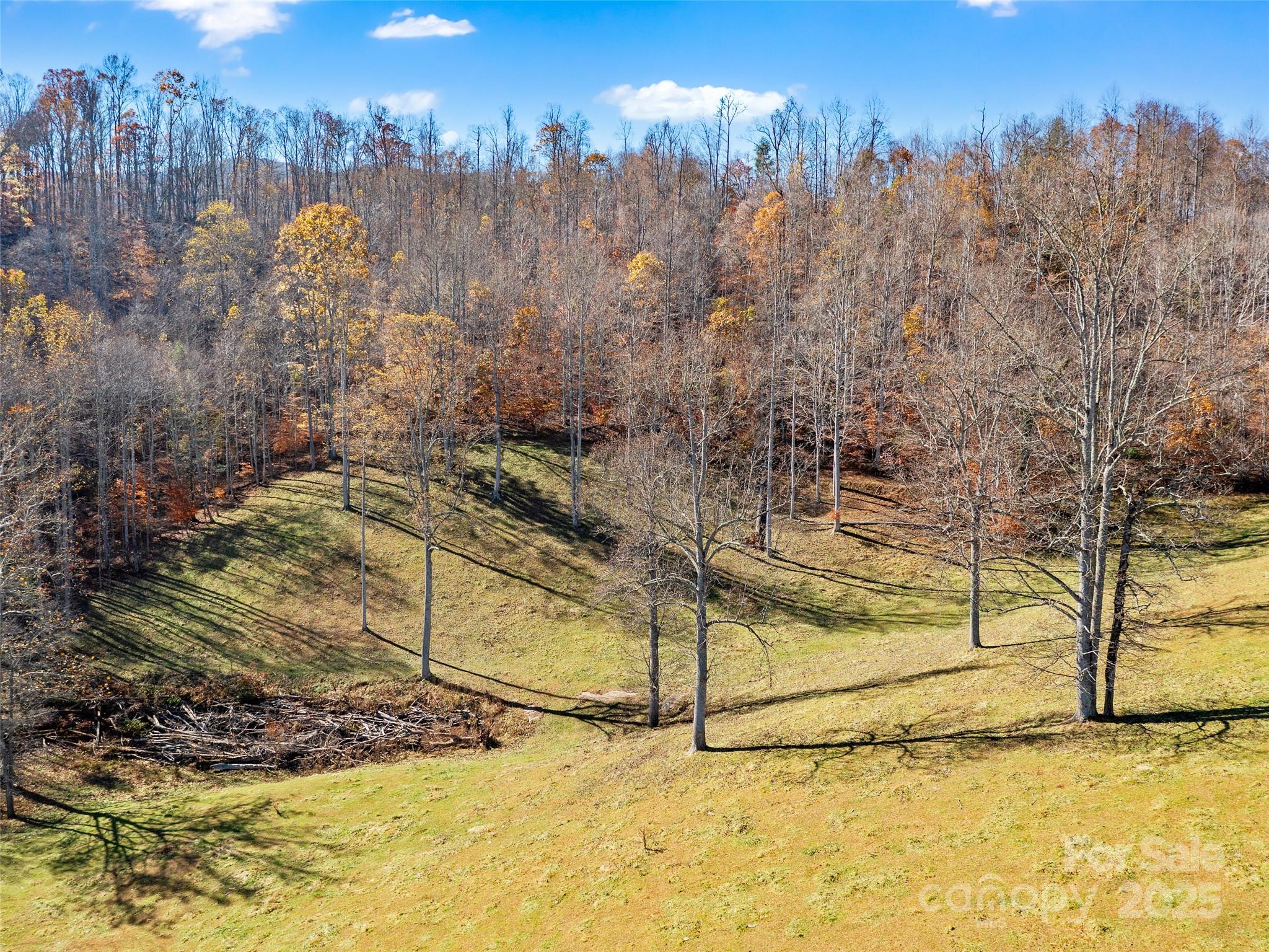 321 Lyle Lane Green Mountain NC 28740