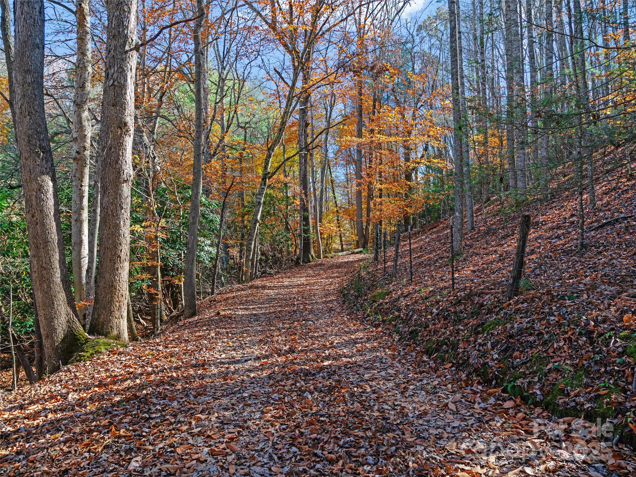 321 Lyle Lane Green Mountain NC 28740