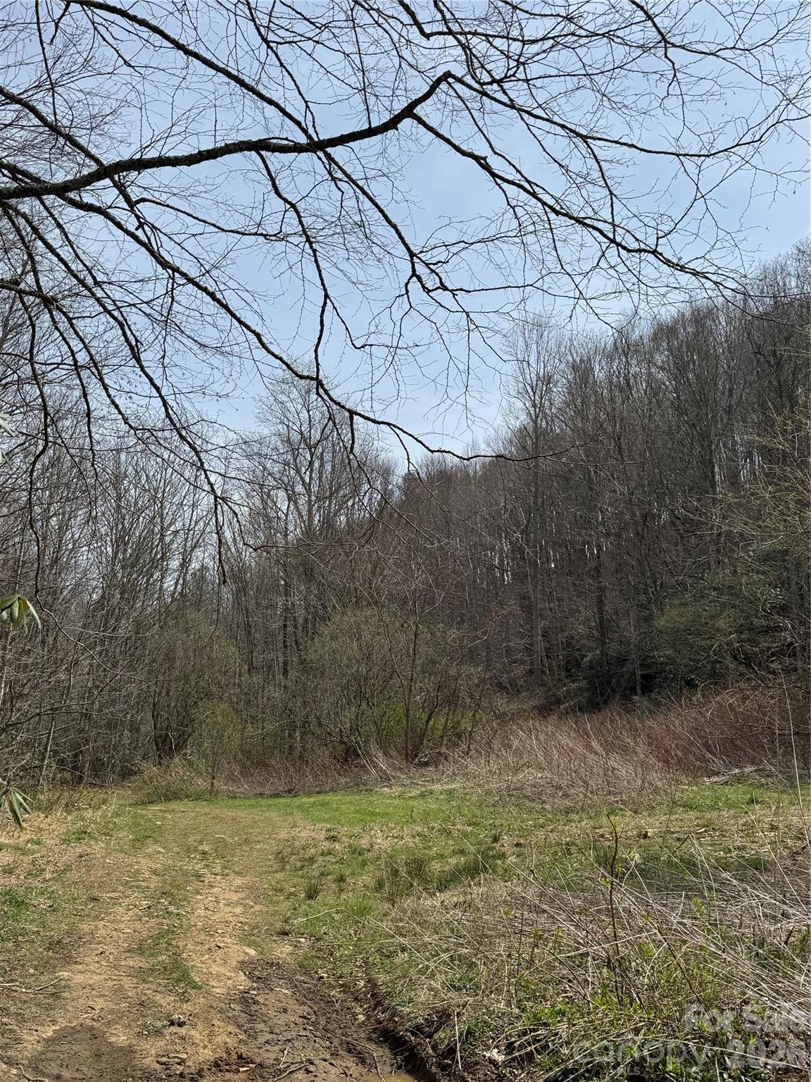 63 Jeffrey Franklin Lane Newland NC 28657