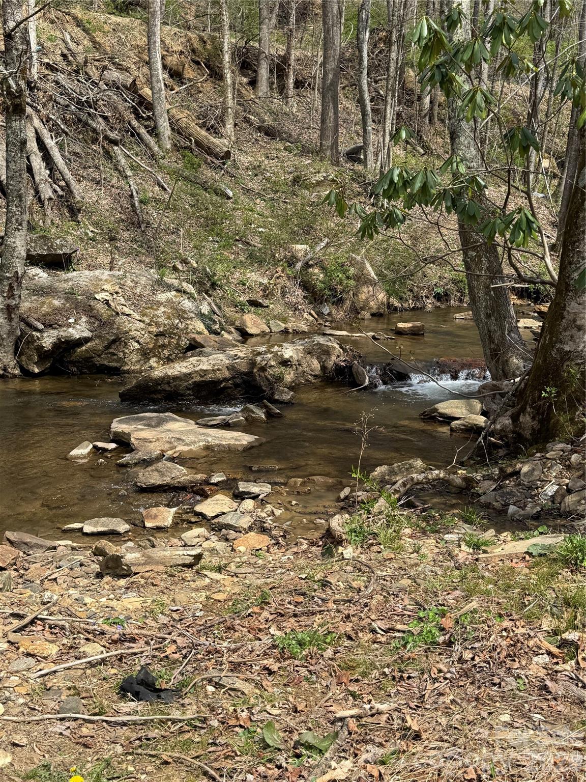 63 Jeffrey Franklin Lane Newland NC 28657