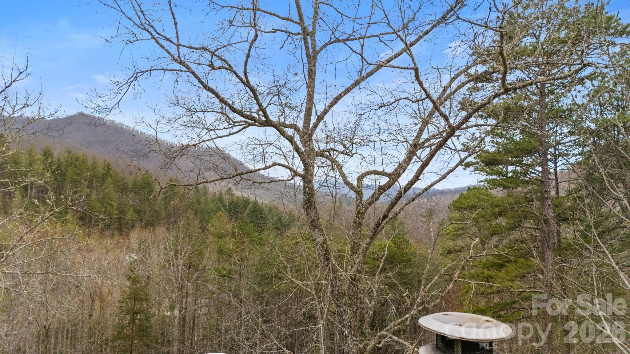 113 Cardinal Drive Franklin NC 28734