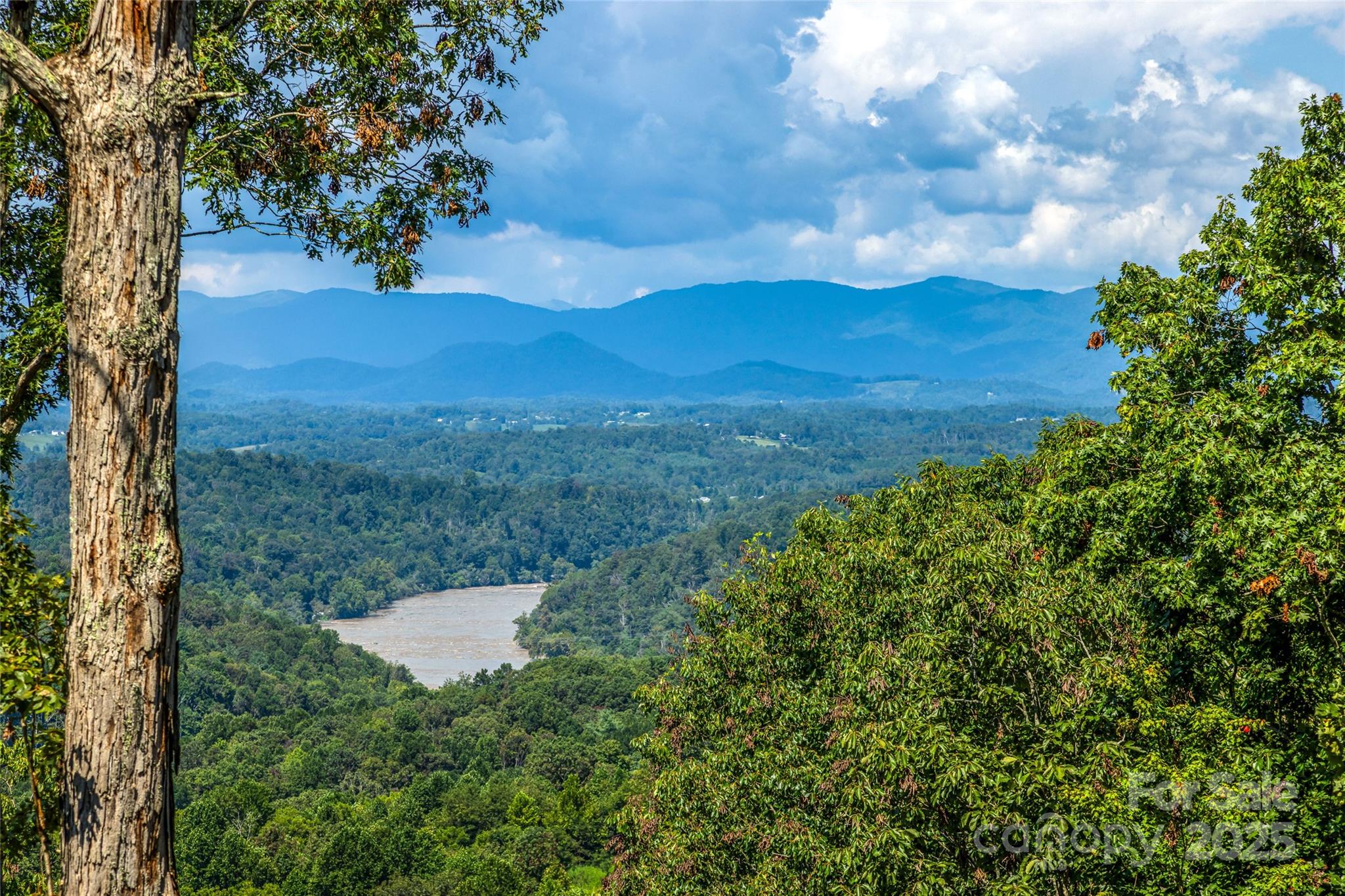 82 Running Ridge Road Asheville NC 28804