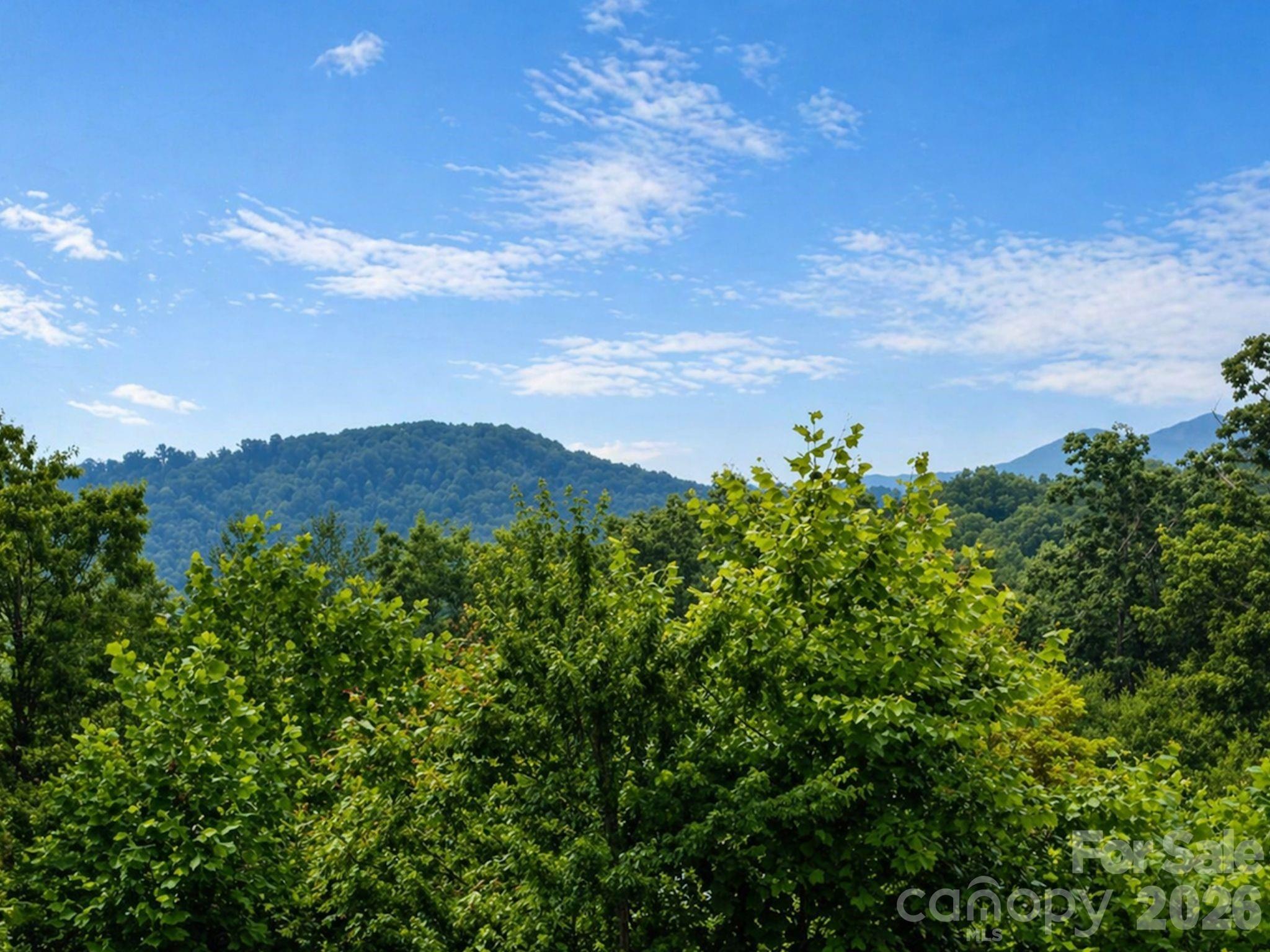 73 Dalya Road Swannanoa NC 28778