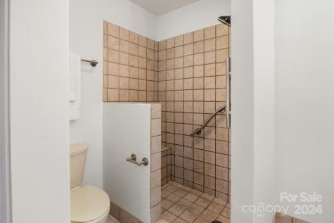 4 Stuyvesant Crescent Asheville NC 28803