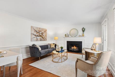 4 Stuyvesant Crescent Asheville NC 28803