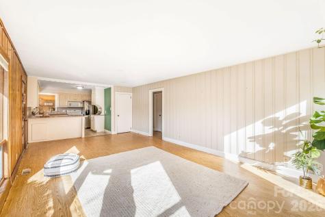 36 Cleveland Avenue Asheville NC 28803