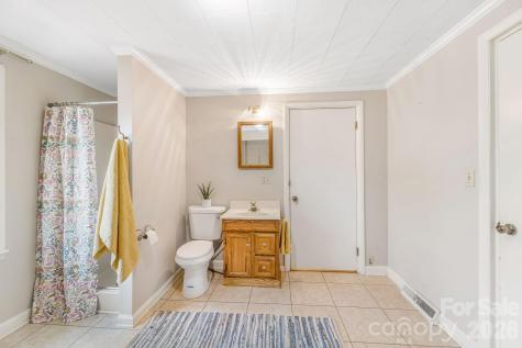 36 Cleveland Avenue Asheville NC 28803