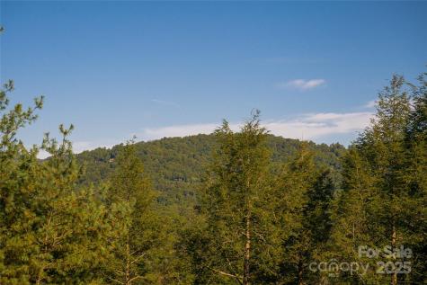 79 Horizon Hill Road Asheville NC 28804