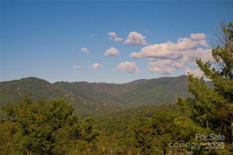 79 Horizon Hill Road Asheville NC 28804