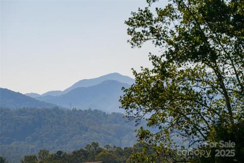 79 Horizon Hill Road Asheville NC 28804