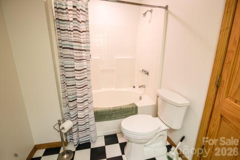 198 Ball Hill Place Marshall NC 28753