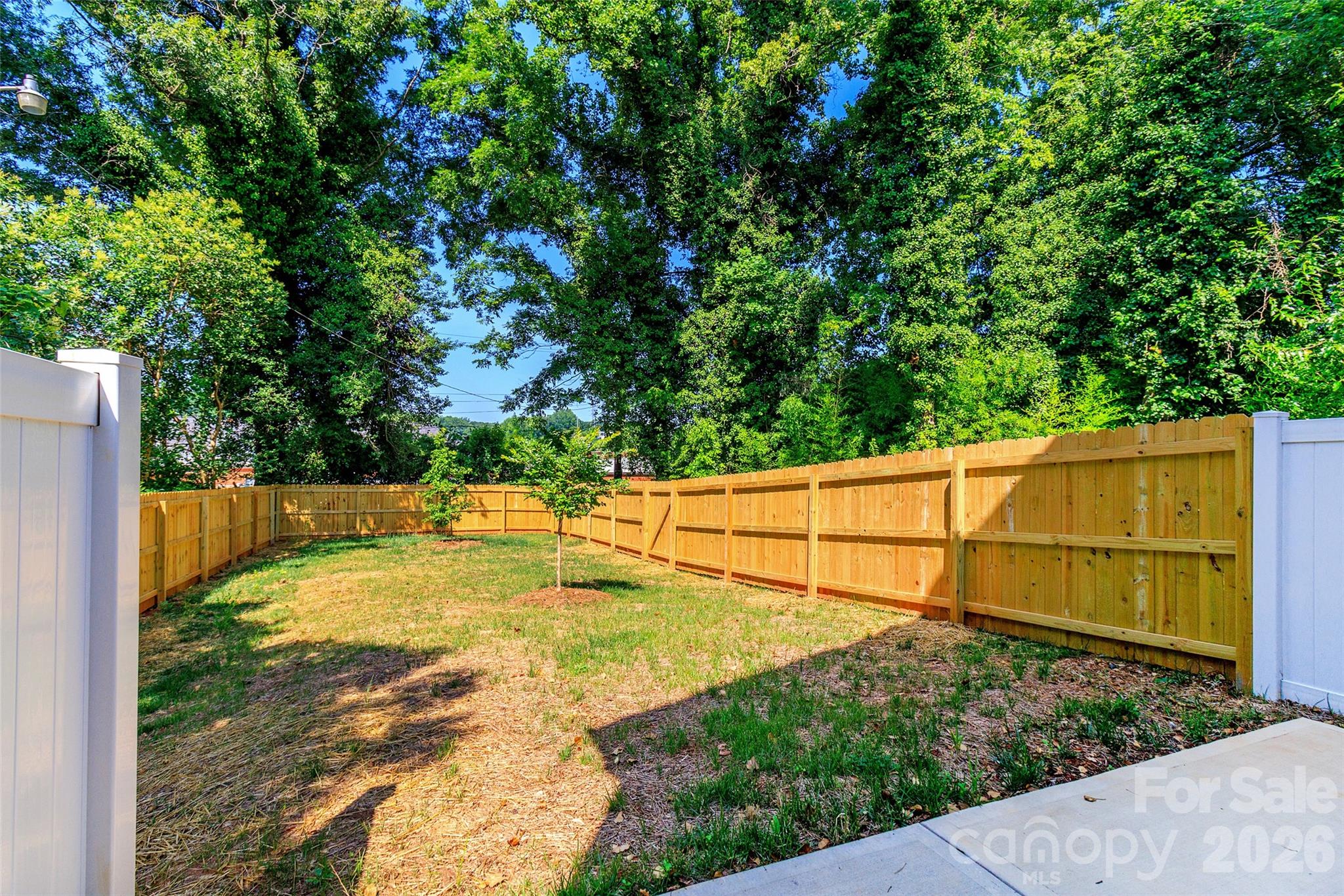 2517 Elon Street Charlotte NC 28208