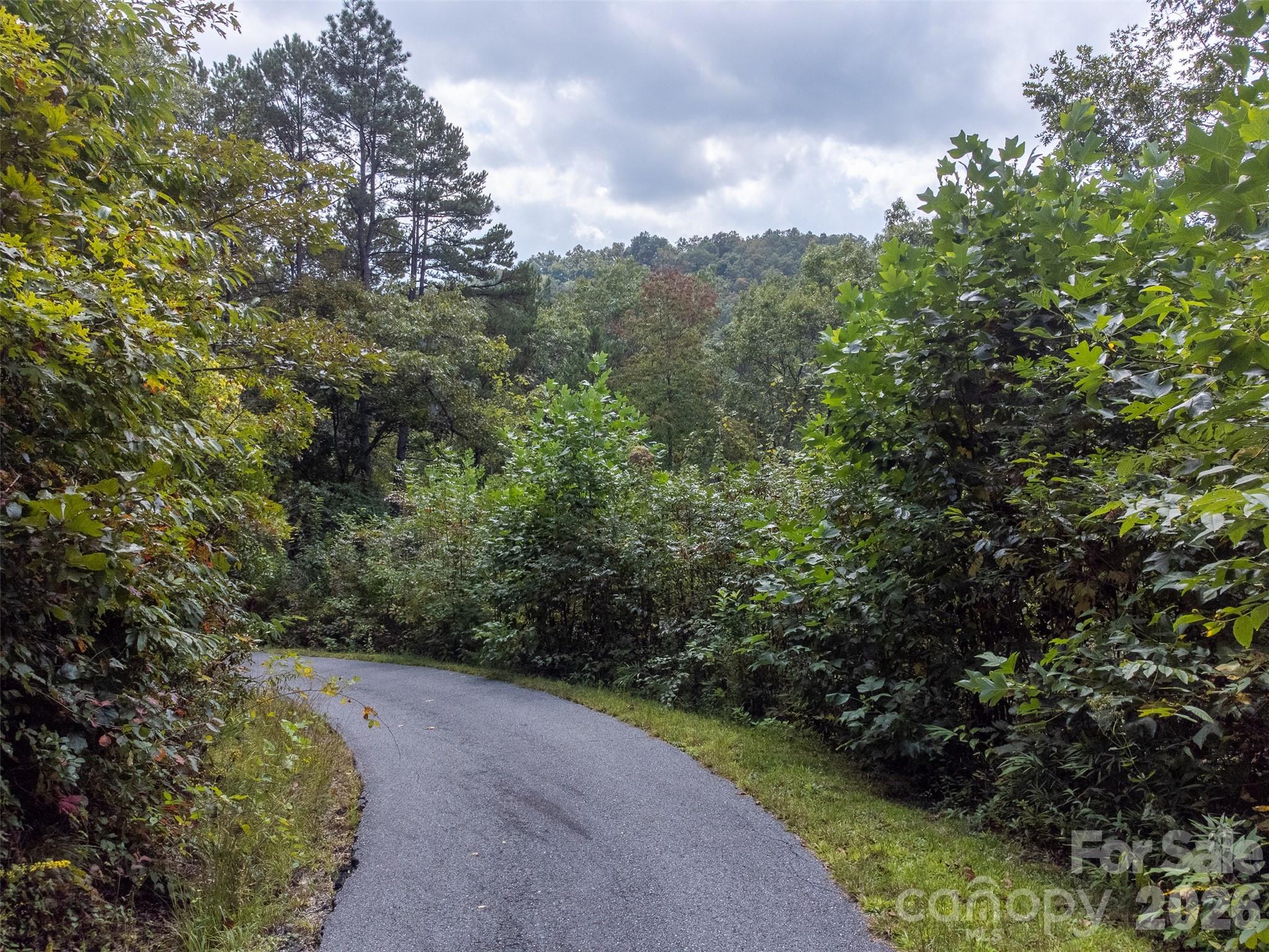 365 Duckback Trail Whittier NC 28789