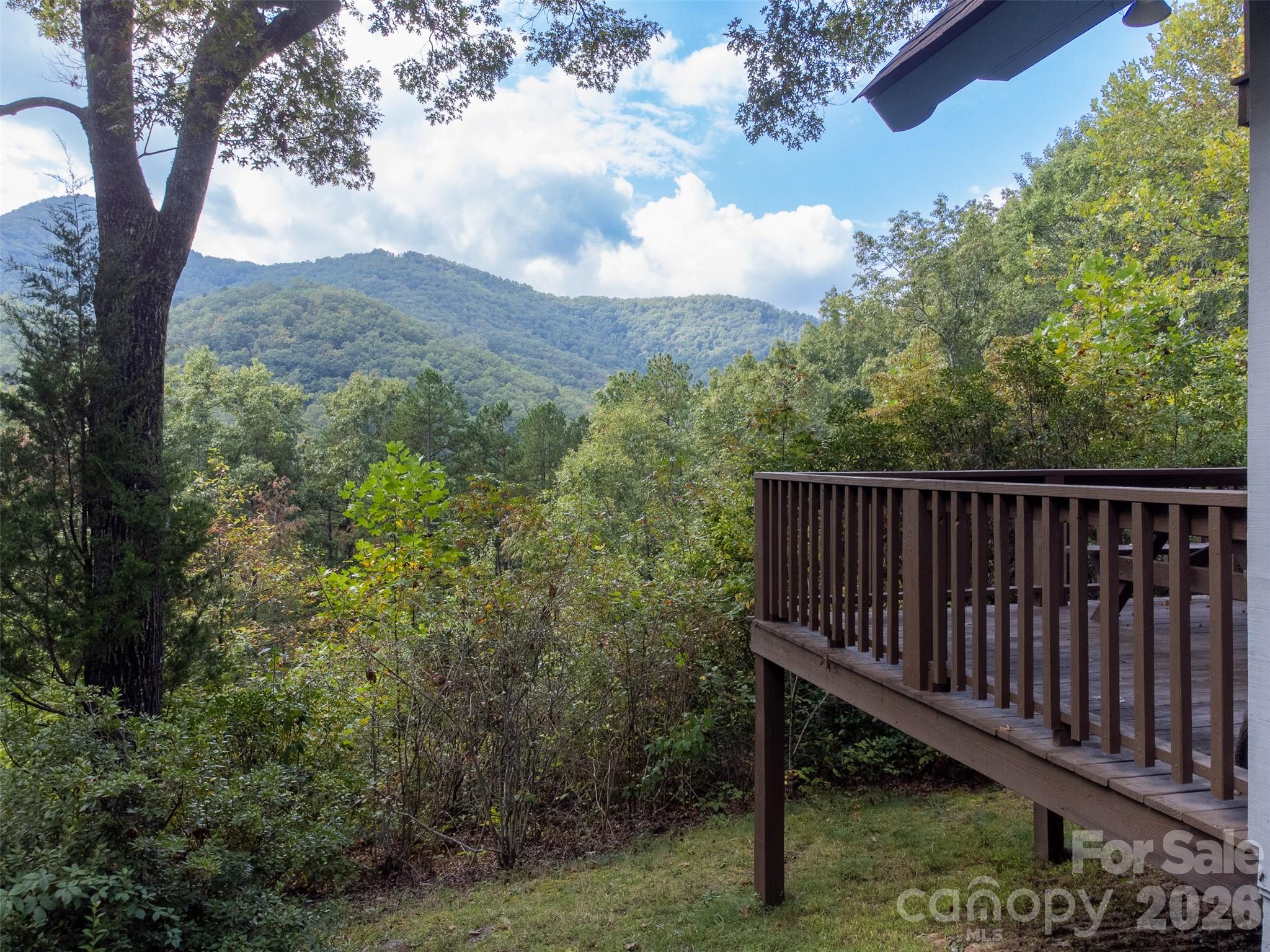 365 Duckback Trail Whittier NC 28789