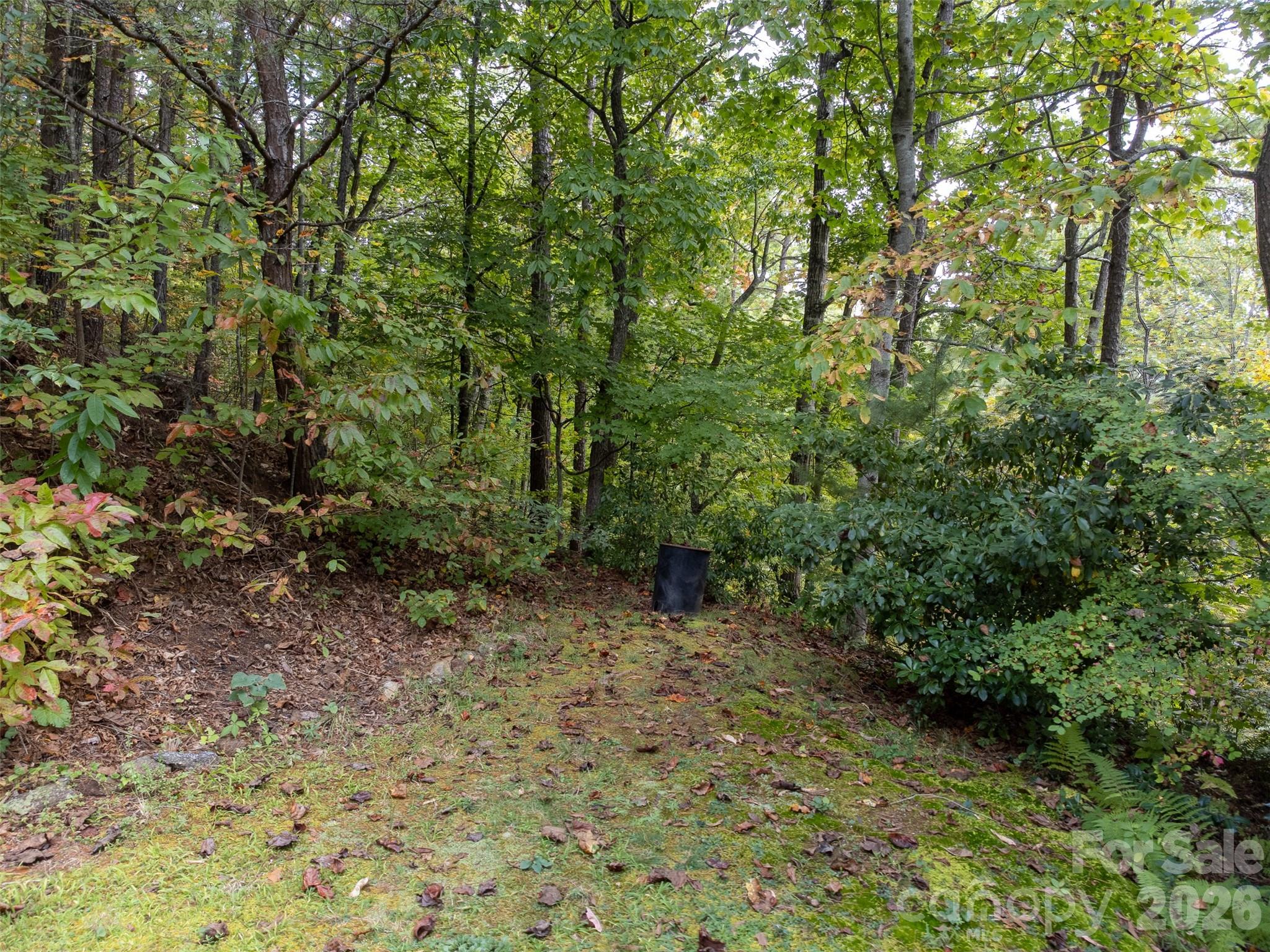 365 Duckback Trail Whittier NC 28789