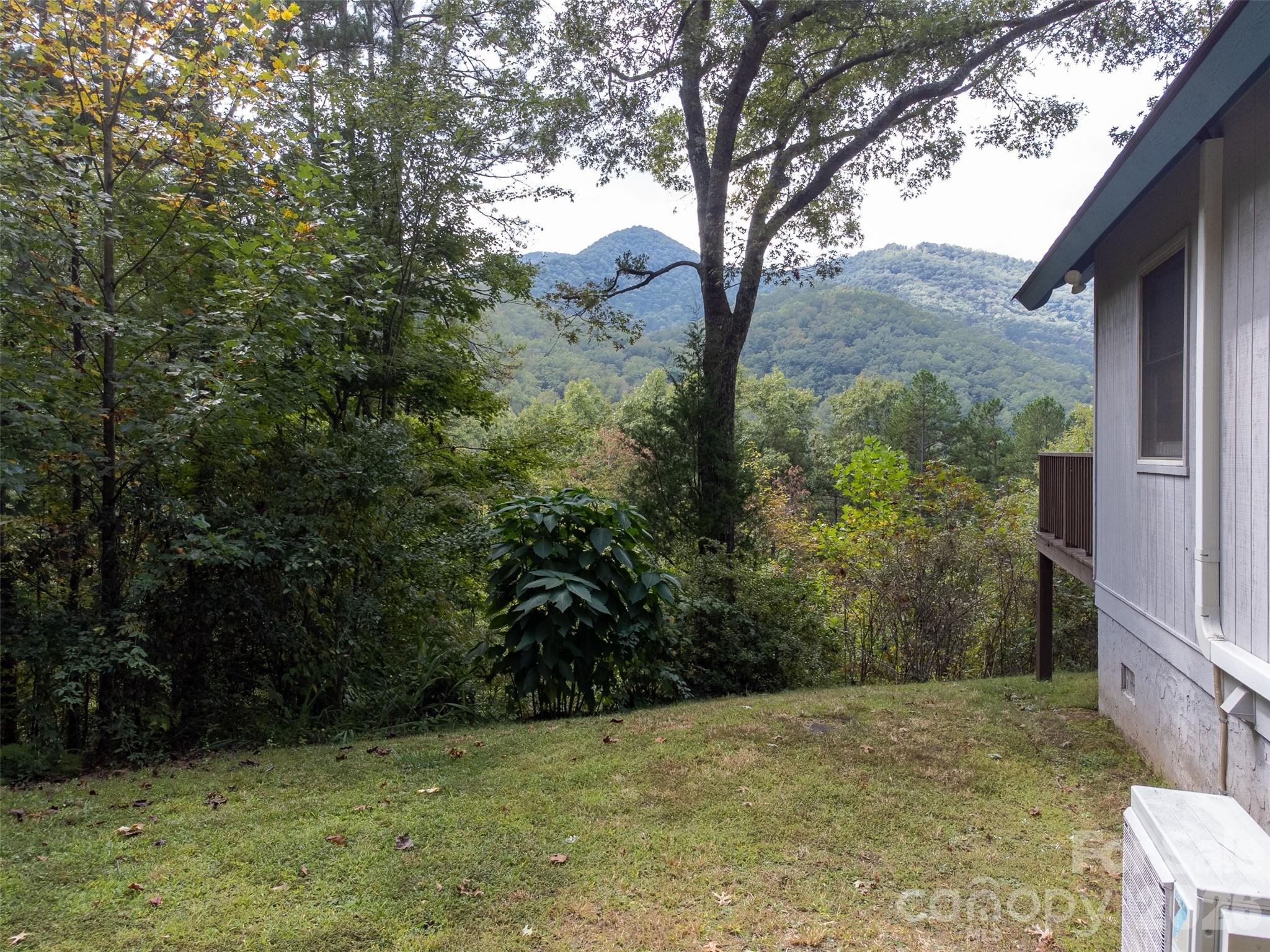 365 Duckback Trail Whittier NC 28789