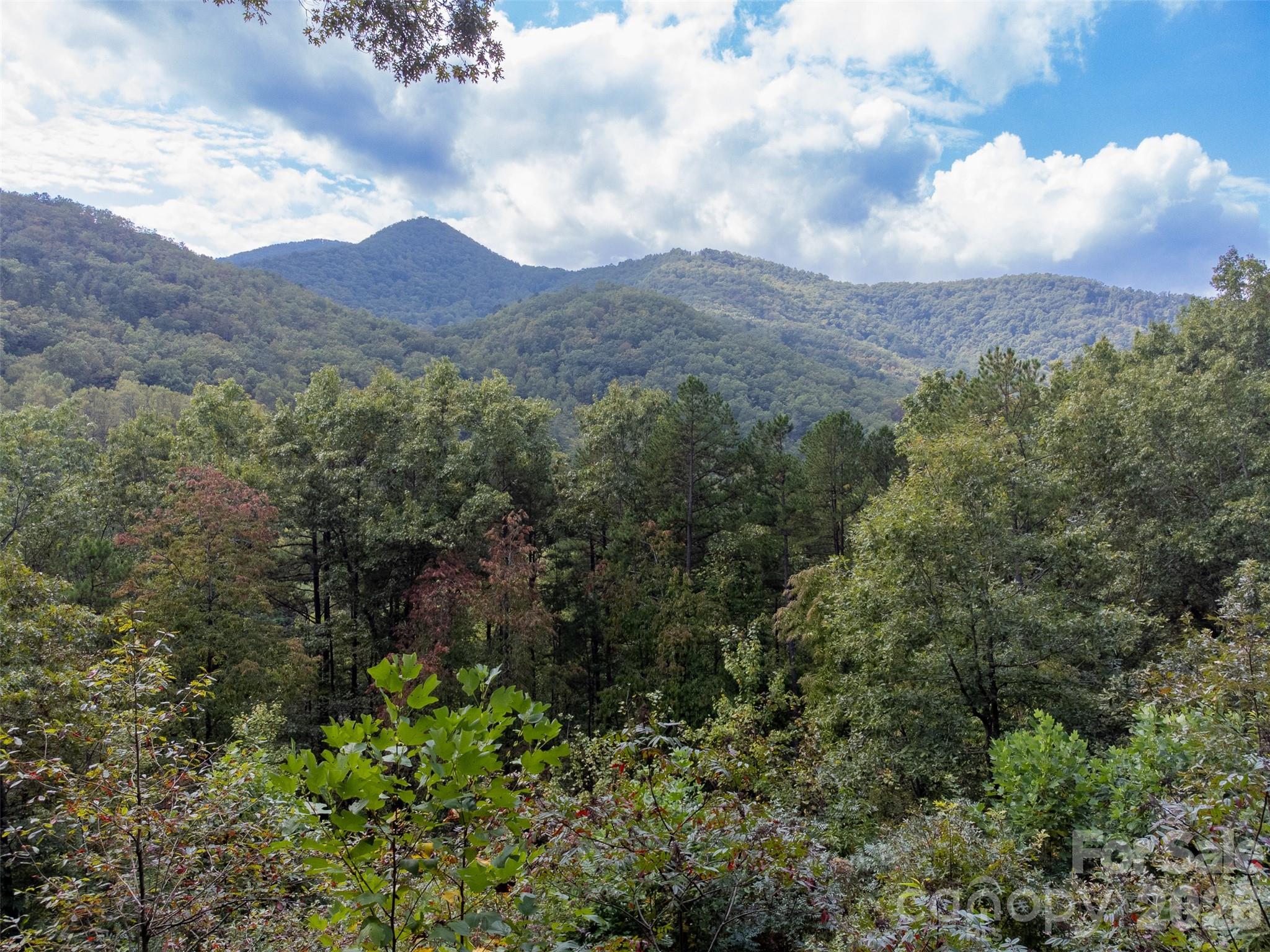 365 Duckback Trail Whittier NC 28789