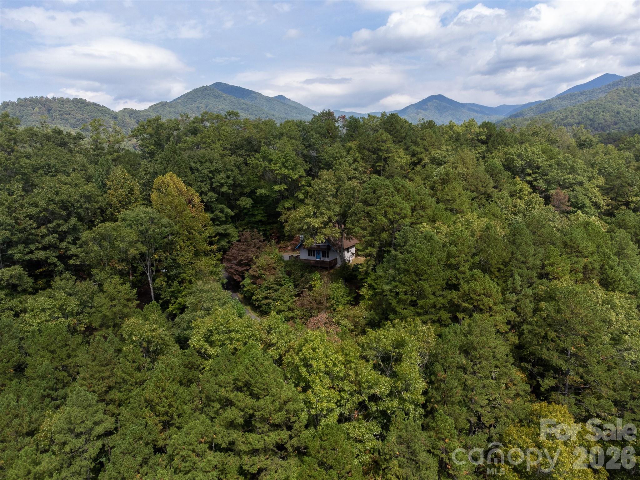 365 Duckback Trail Whittier NC 28789