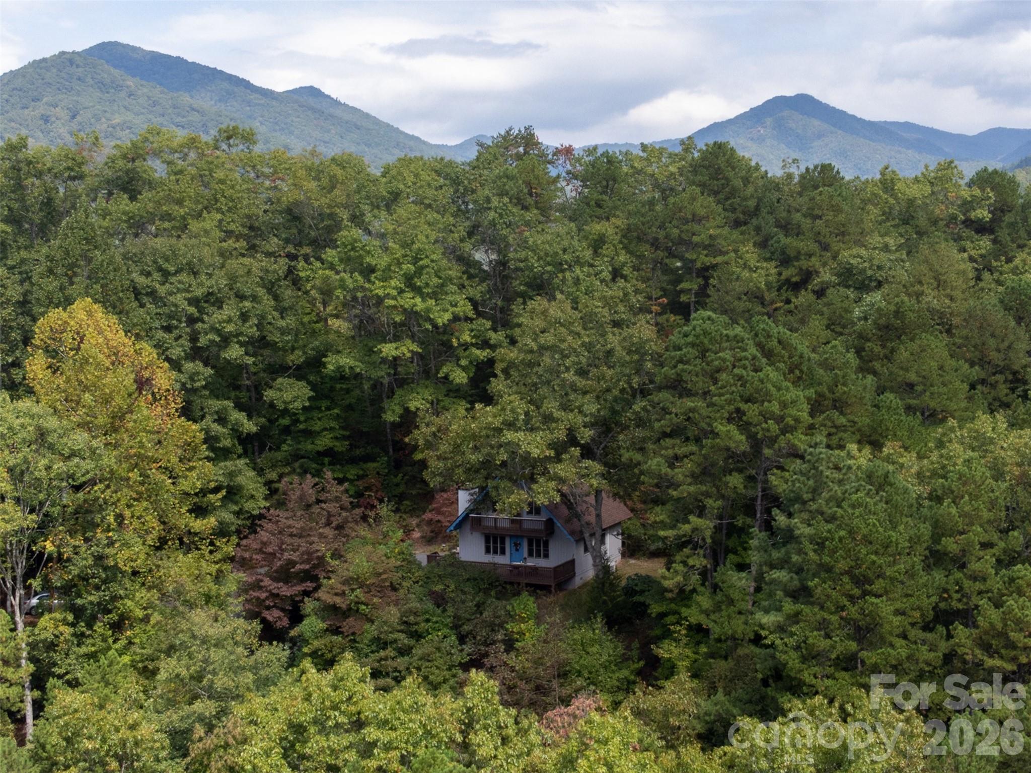 365 Duckback Trail Whittier NC 28789