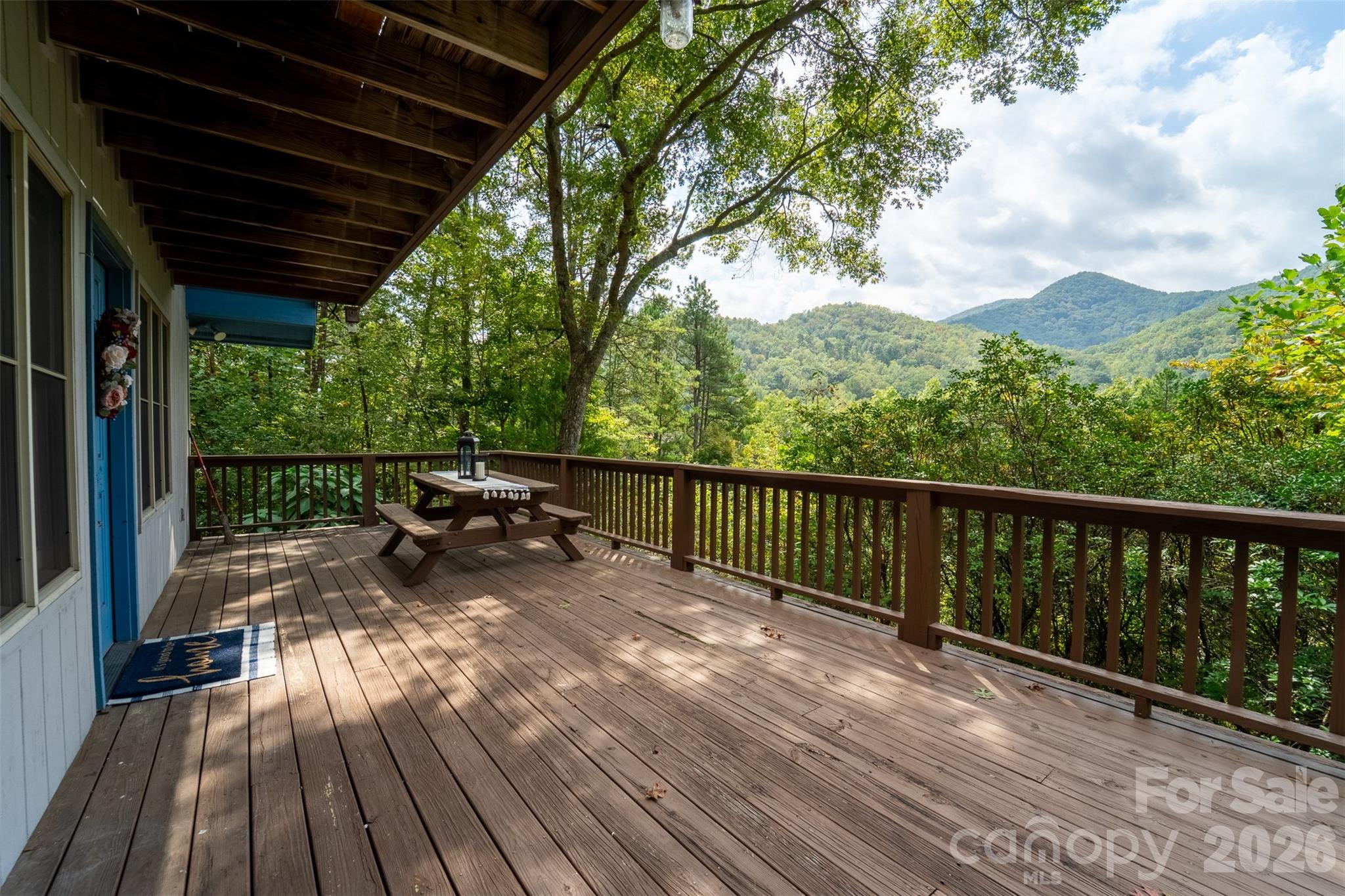 365 Duckback Trail Whittier NC 28789