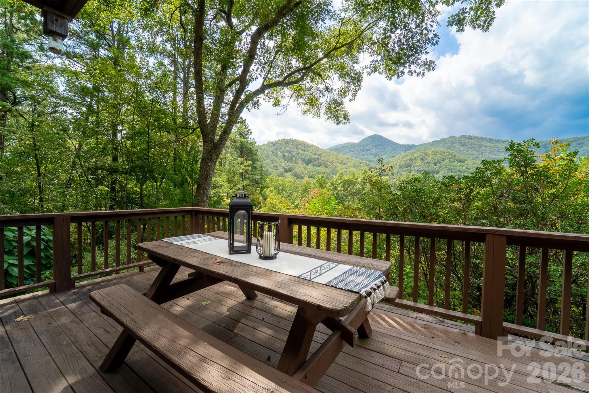 365 Duckback Trail Whittier NC 28789