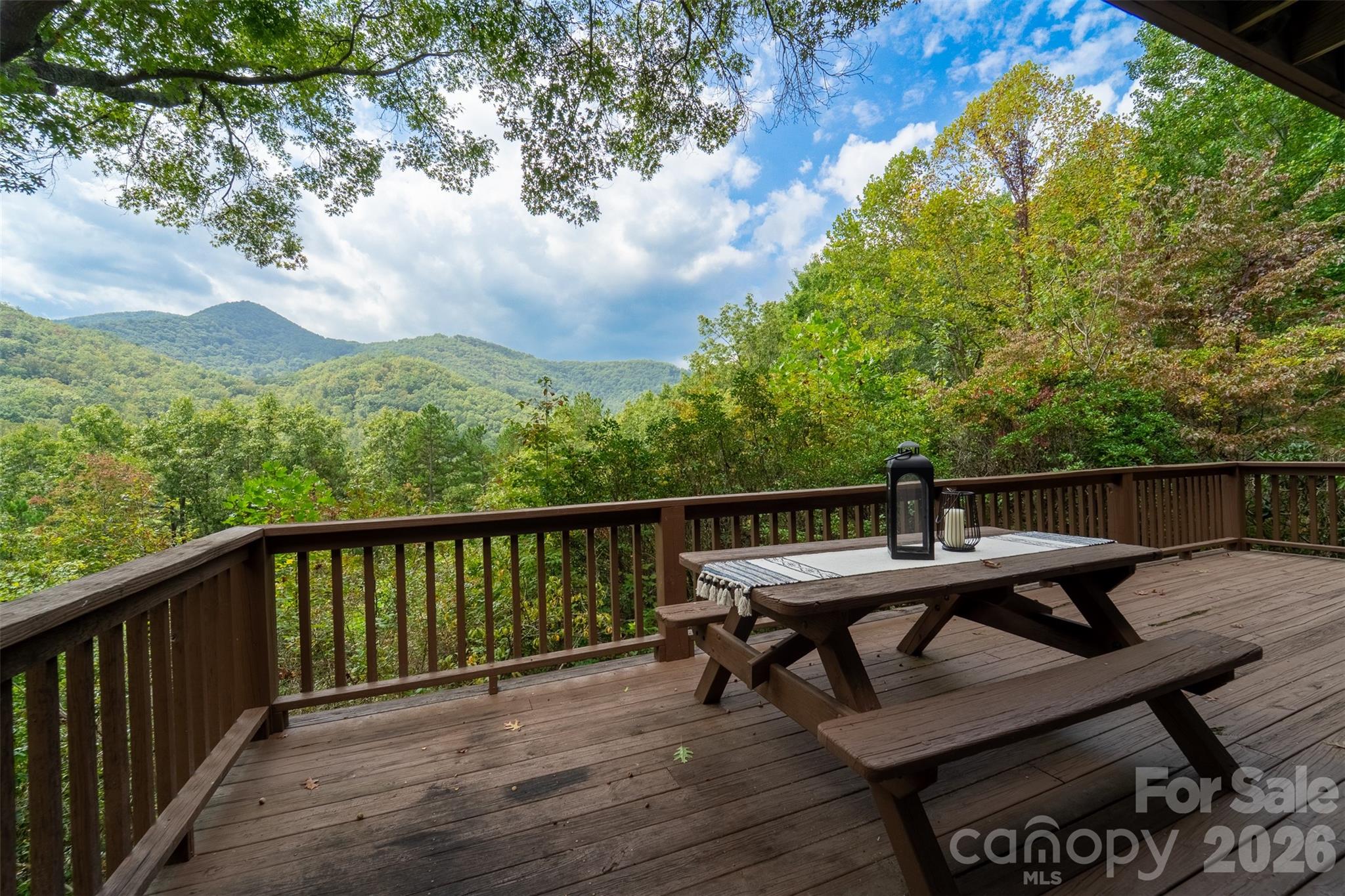365 Duckback Trail Whittier NC 28789