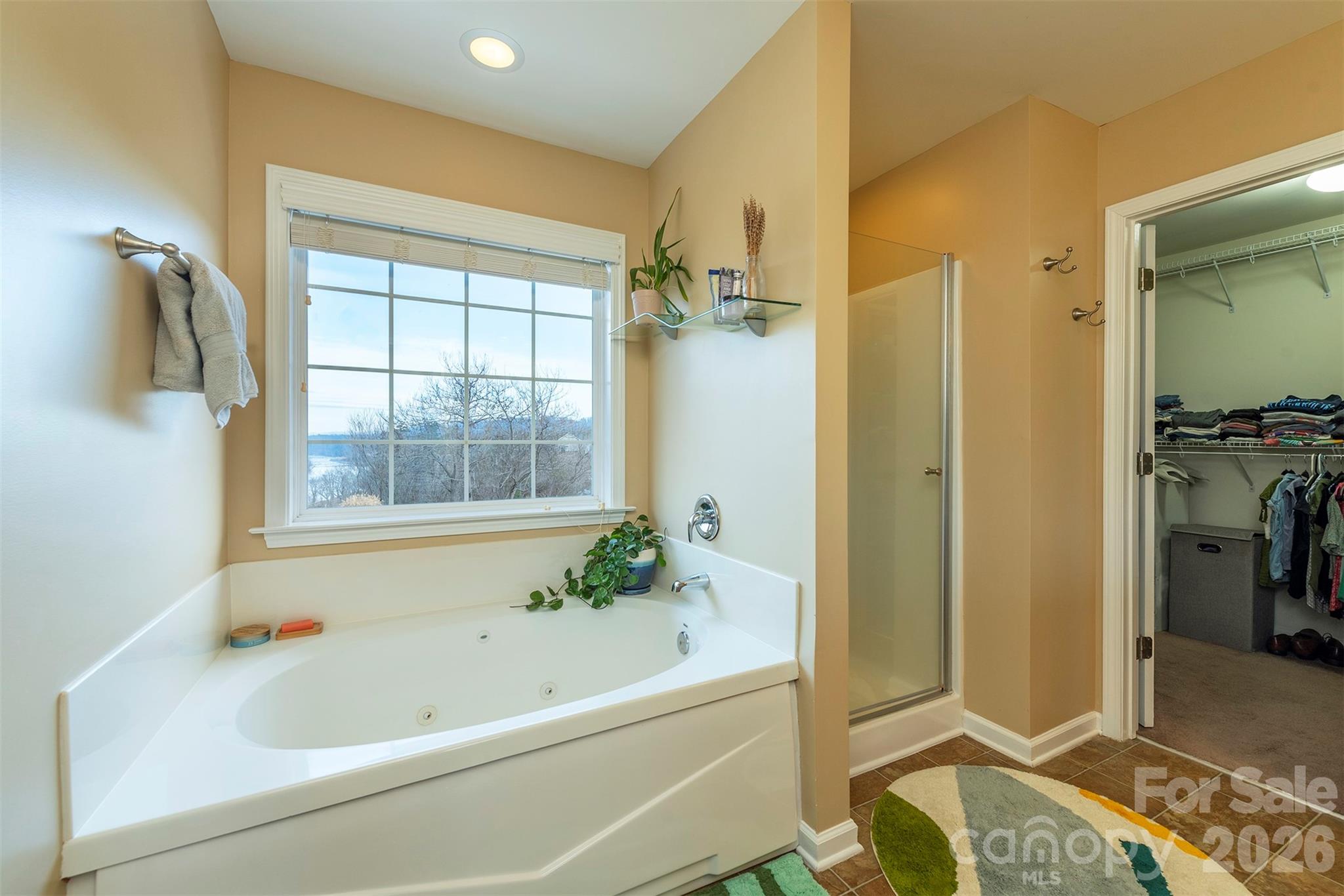 53 Stone River Drive Asheville NC 28804