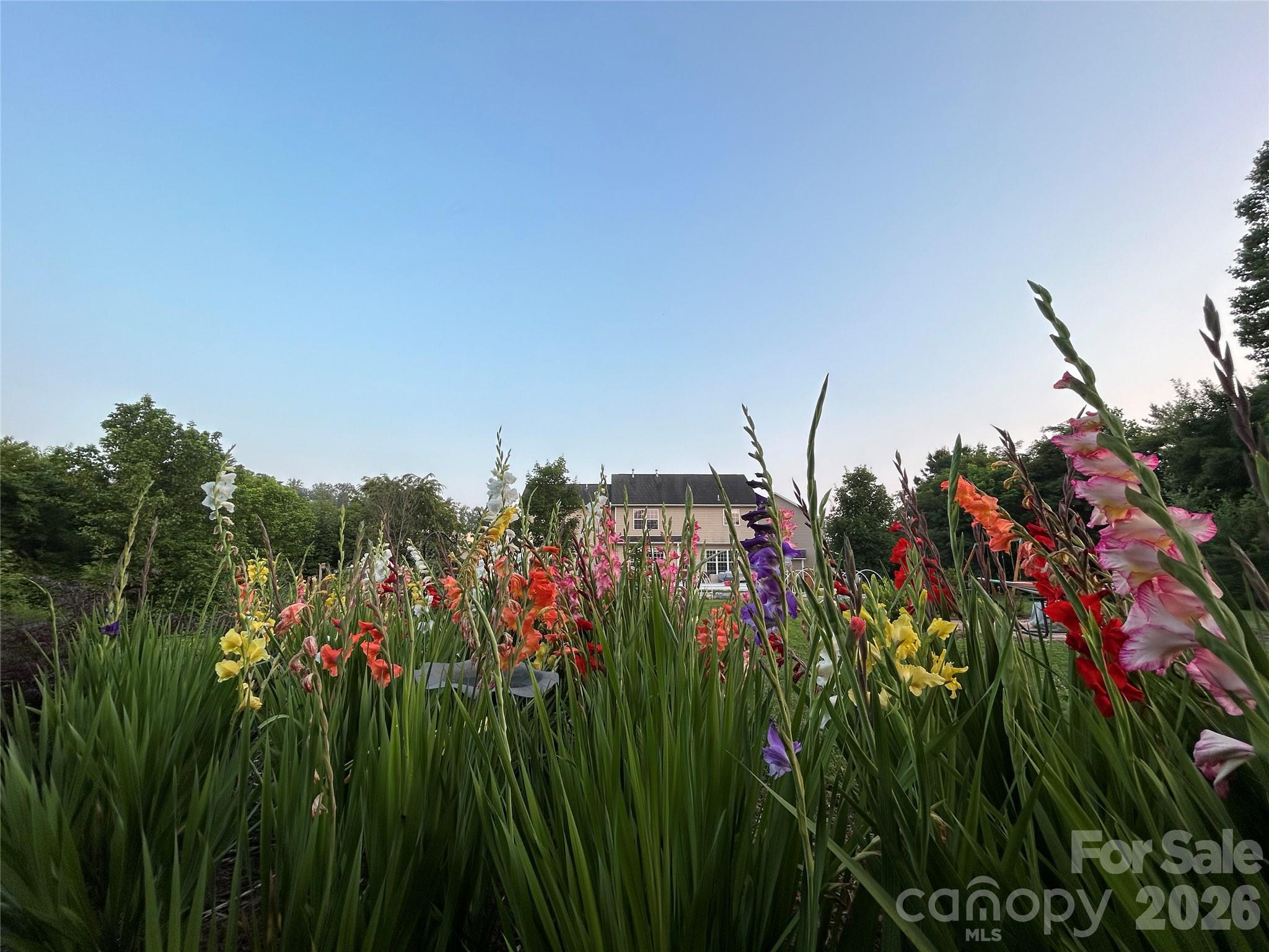 53 Stone River Drive Asheville NC 28804