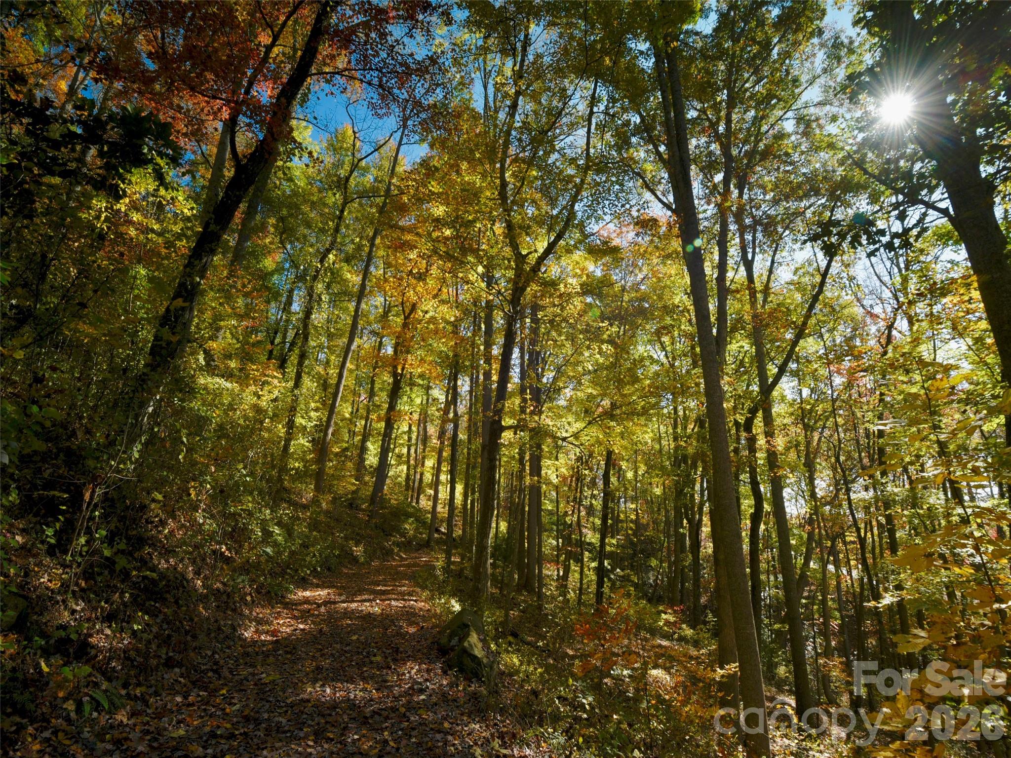 841 Blackthorne Lane Arden NC 28704