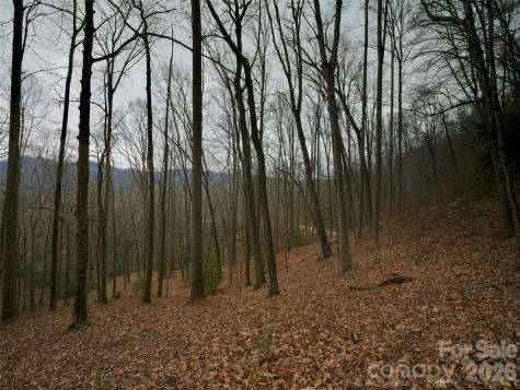 841 Blackthorne Lane Arden NC 28704