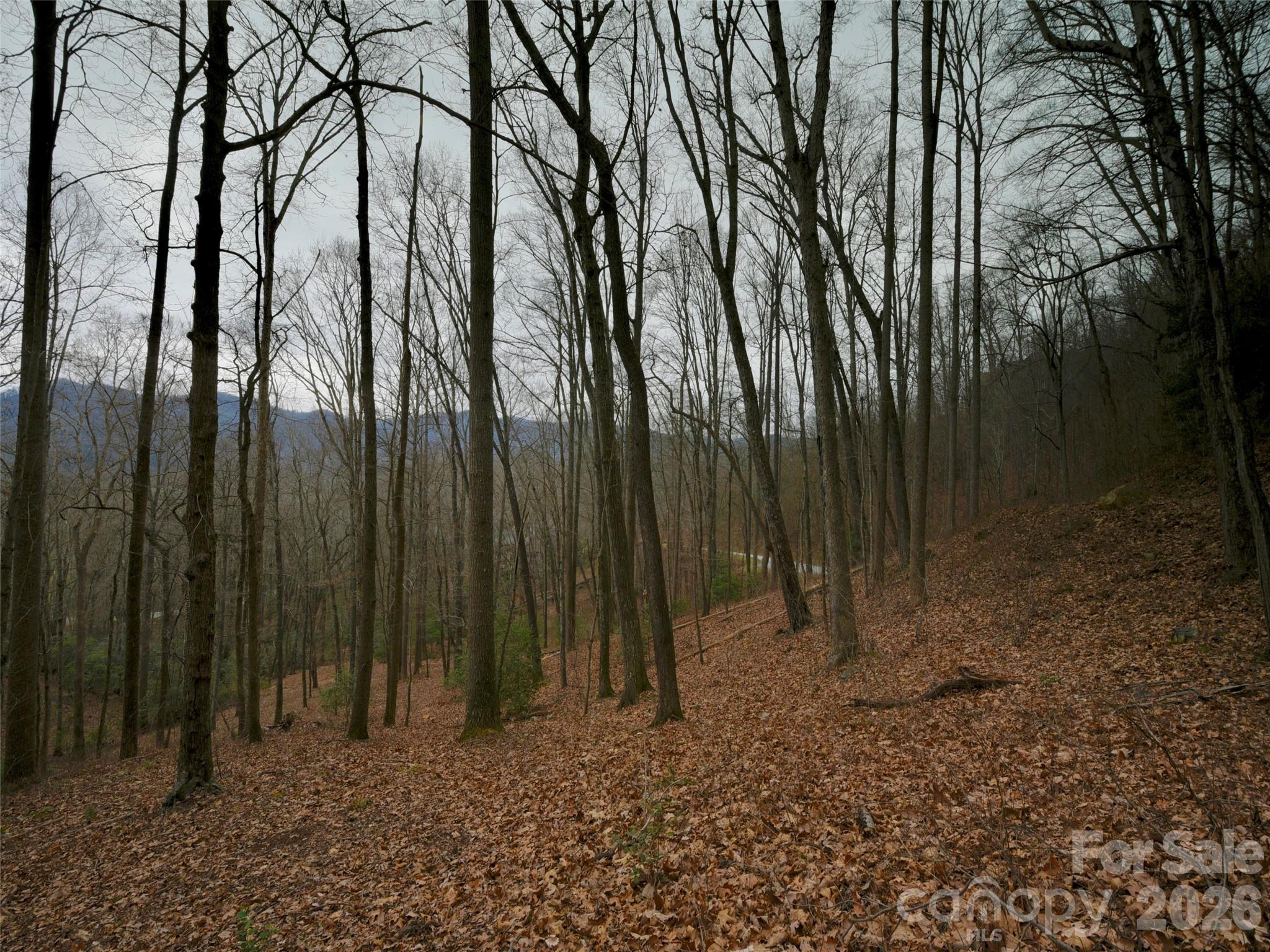 841 Blackthorne Lane Arden NC 28704