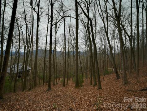 841 Blackthorne Lane Arden NC 28704