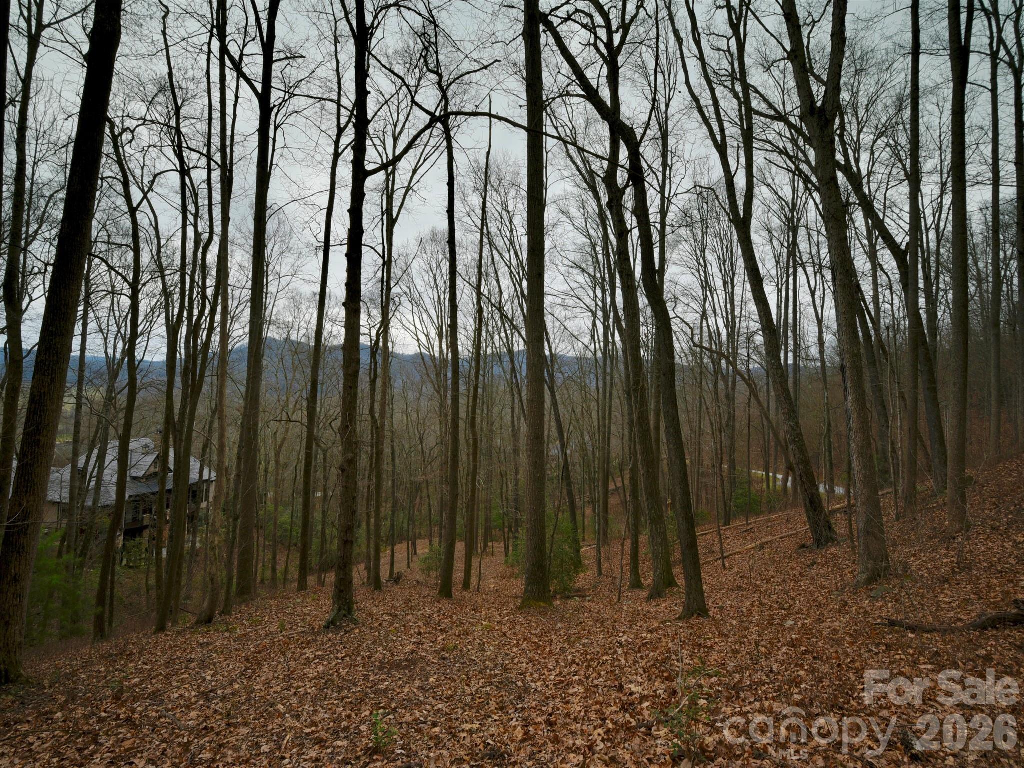 841 Blackthorne Lane Arden NC 28704