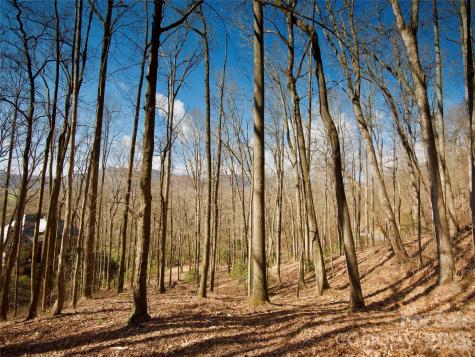 841 Blackthorne Lane Arden NC 28704