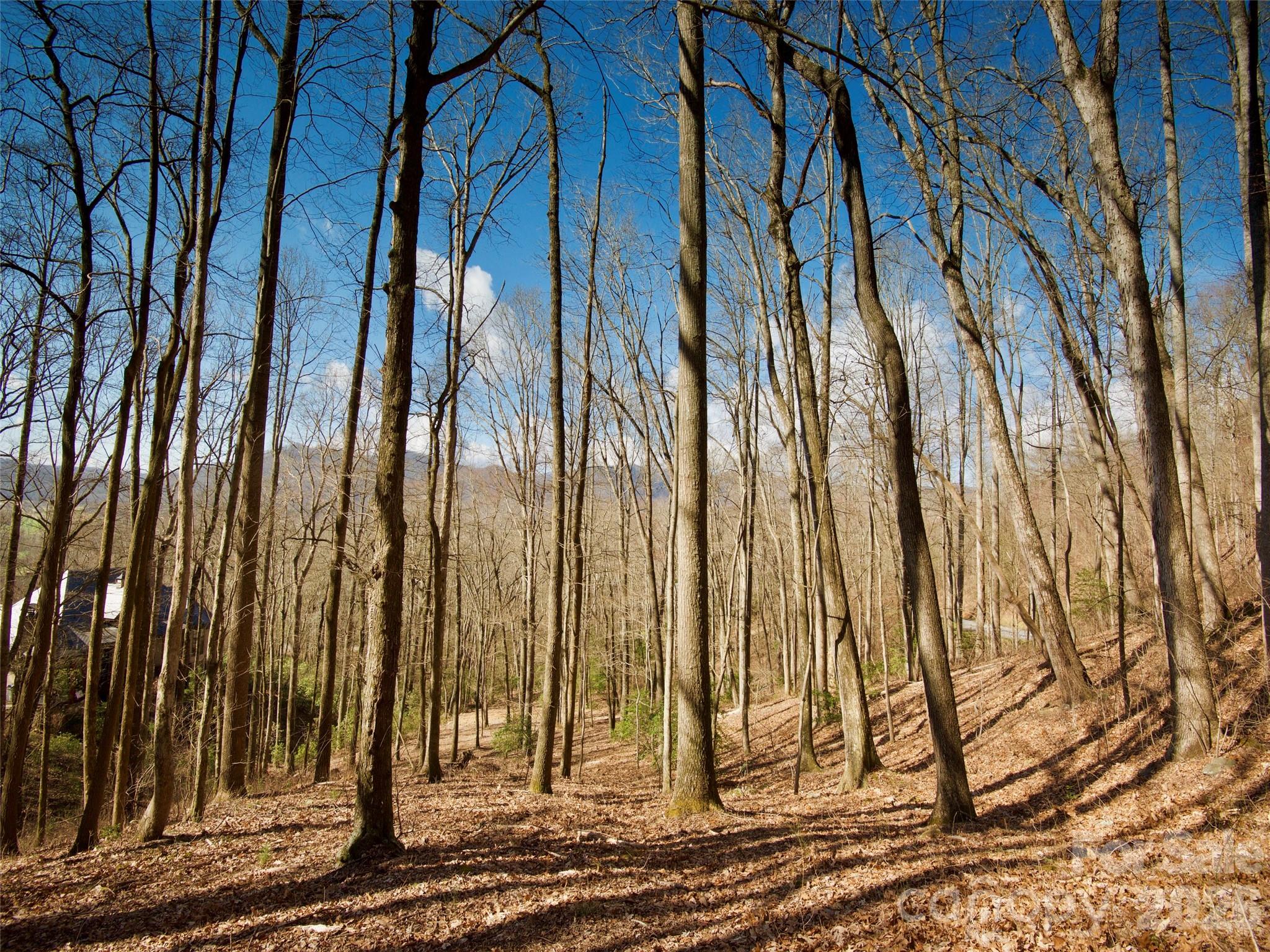 841 Blackthorne Lane Arden NC 28704