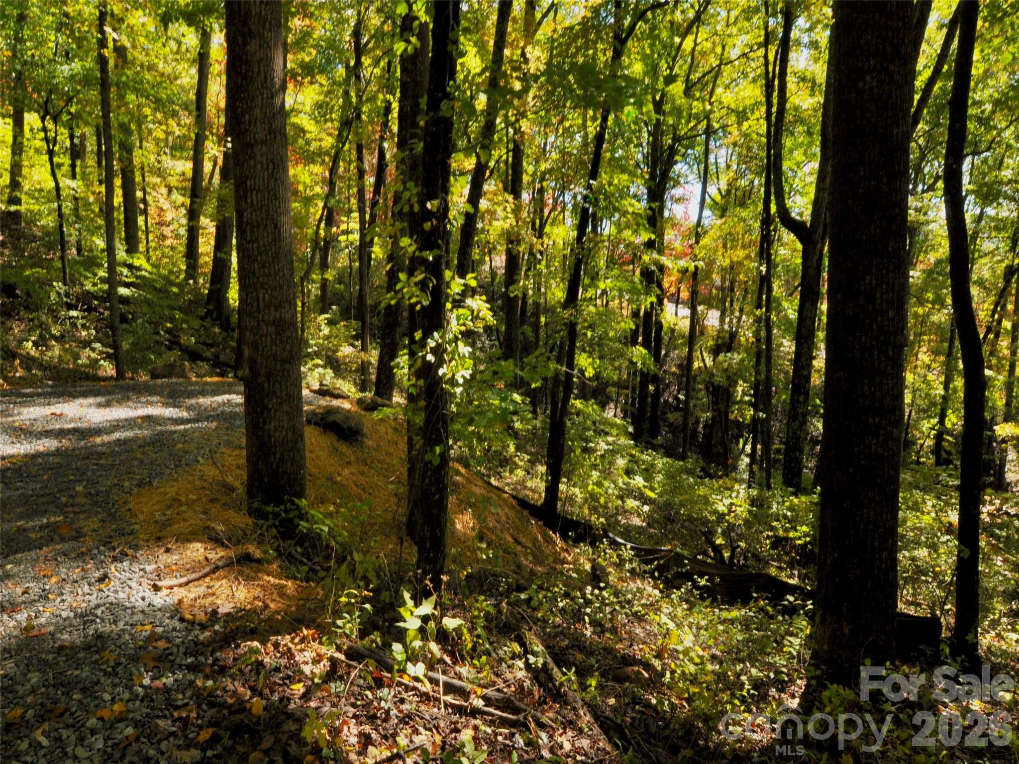 841 Blackthorne Lane Arden NC 28704