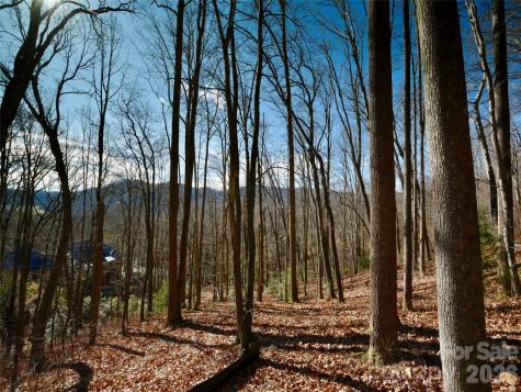 841 Blackthorne Lane Arden NC 28704