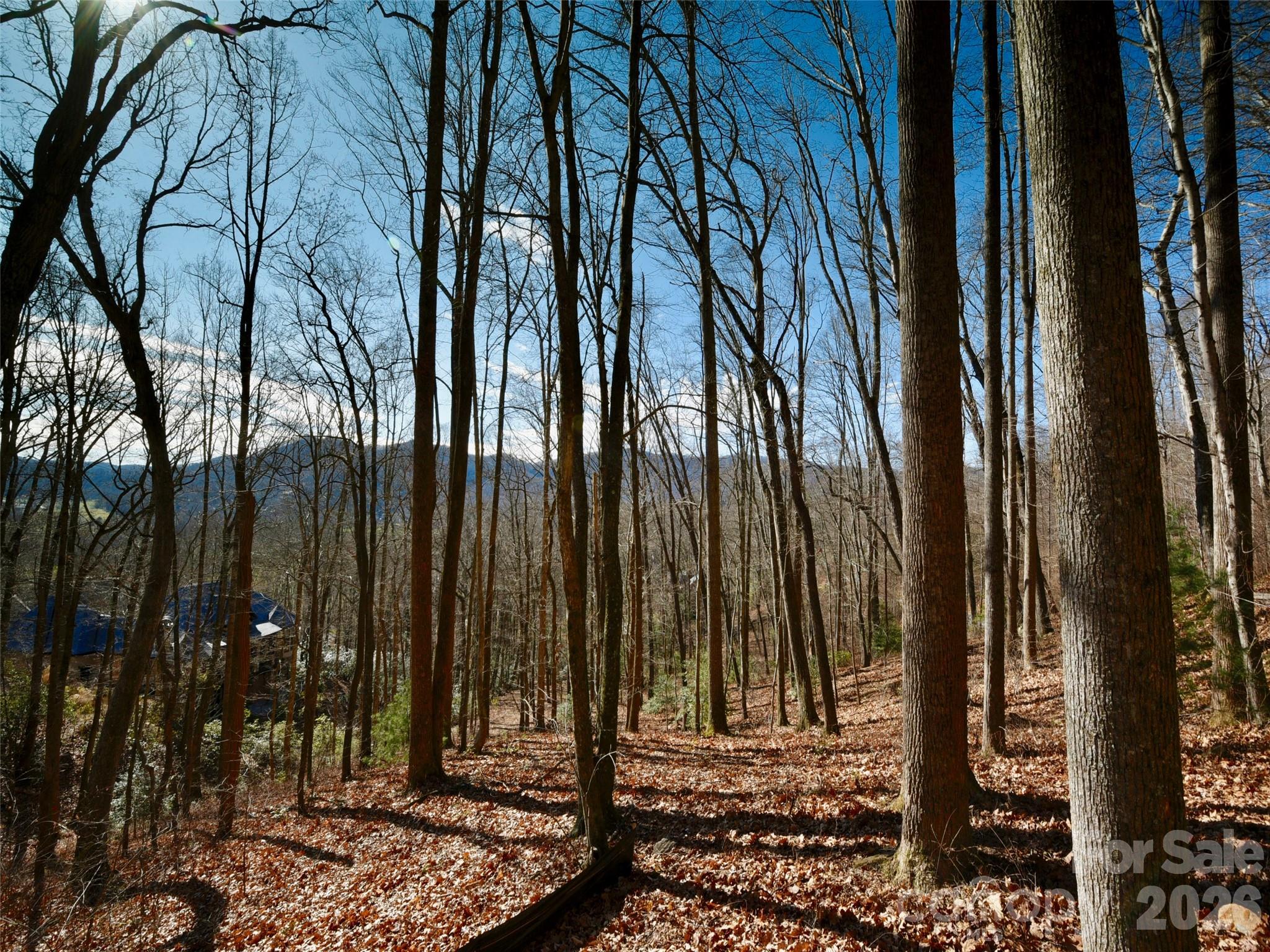 841 Blackthorne Lane Arden NC 28704