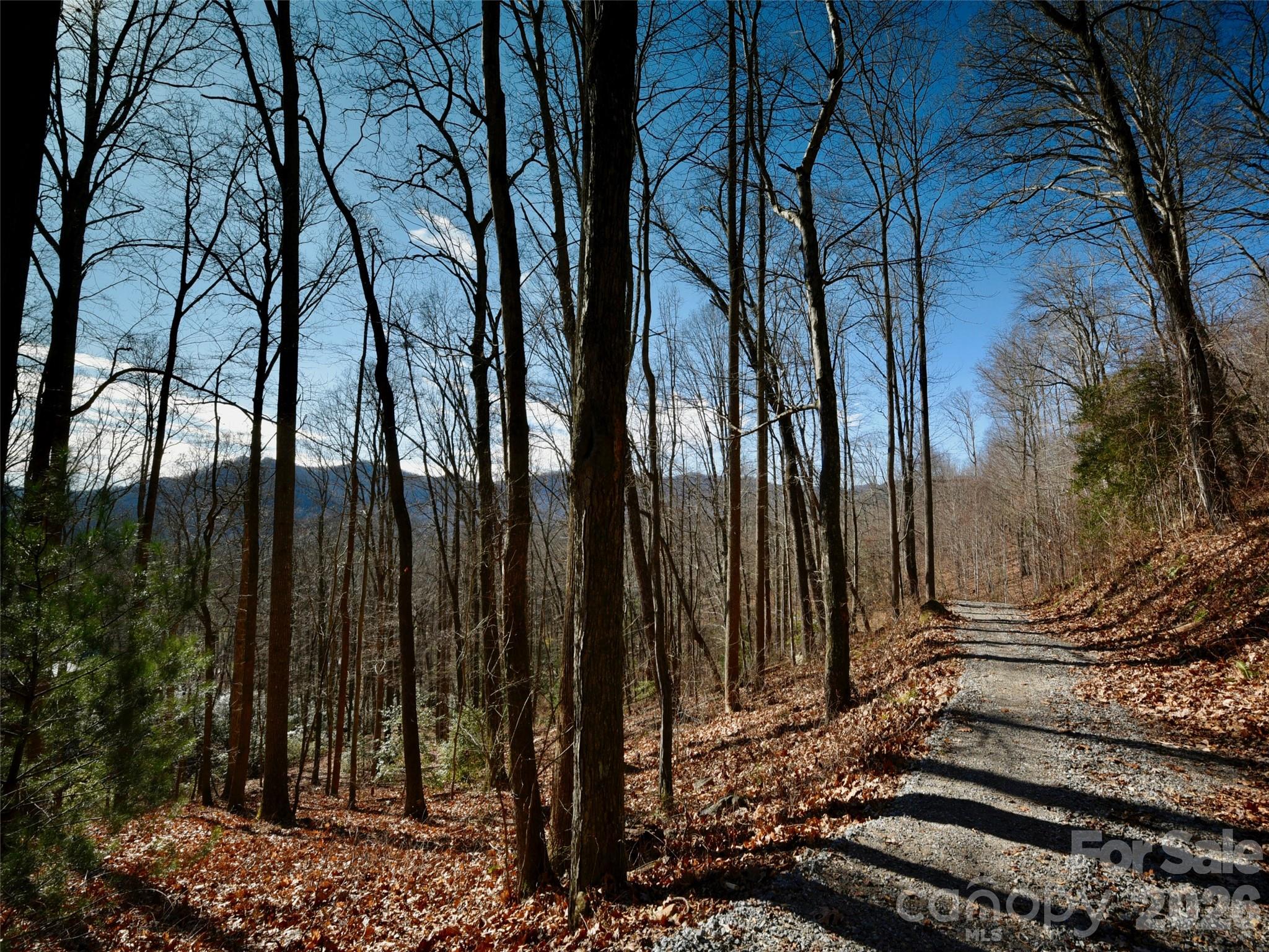 841 Blackthorne Lane Arden NC 28704