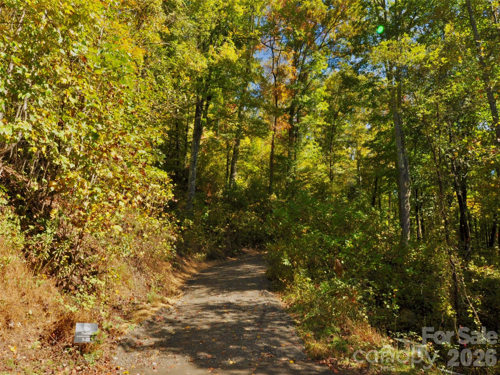 841 Blackthorne Lane Arden NC 28704