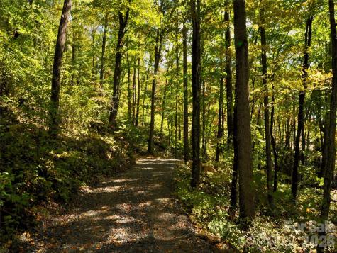 841 Blackthorne Lane Arden NC 28704