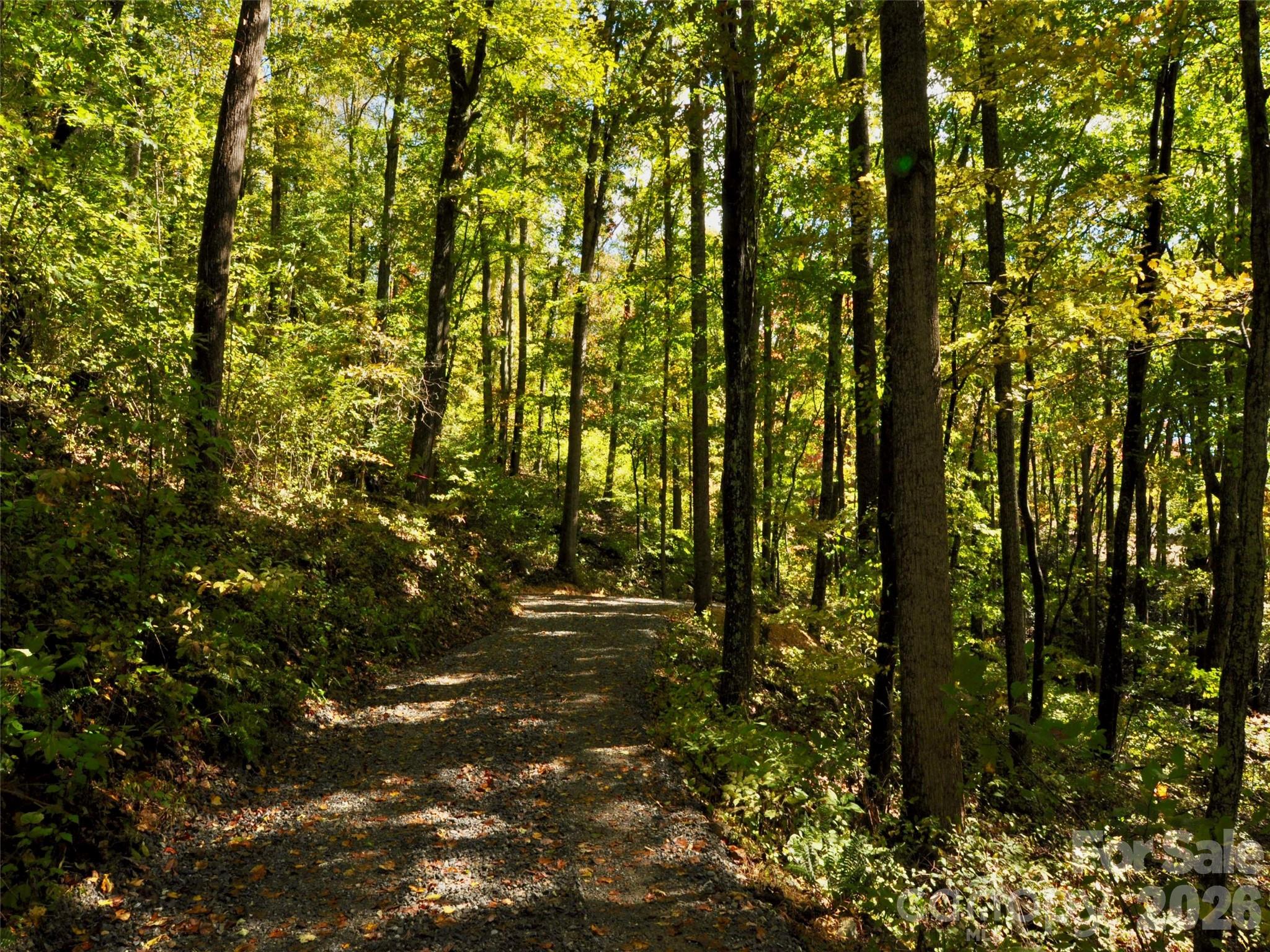 841 Blackthorne Lane Arden NC 28704